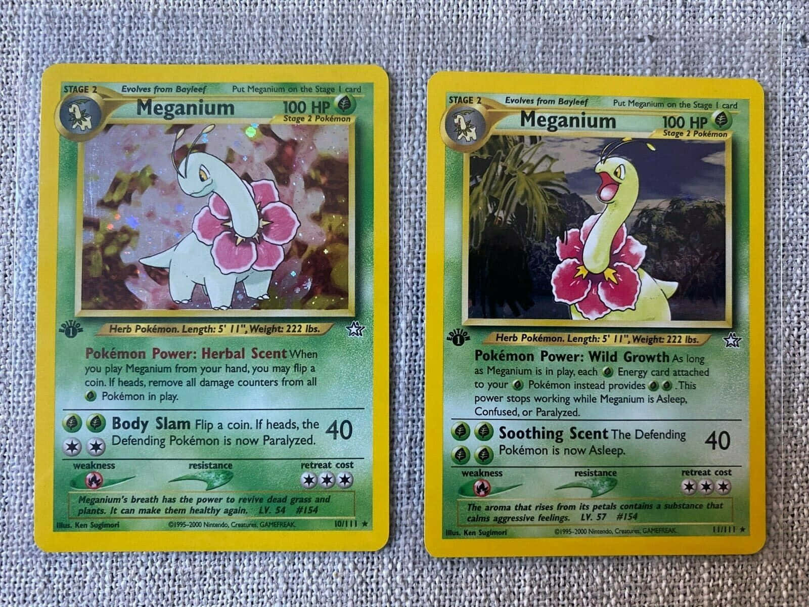 To Meganium Pokemon-handelskort Wallpapers