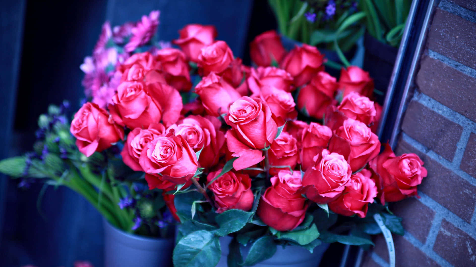 To rosenbuketter billeder Wallpapers