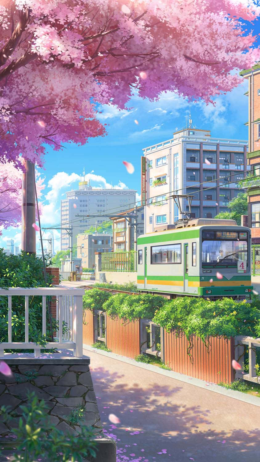 Tokyo Anime By med Kirsebærtræ Wallpapers