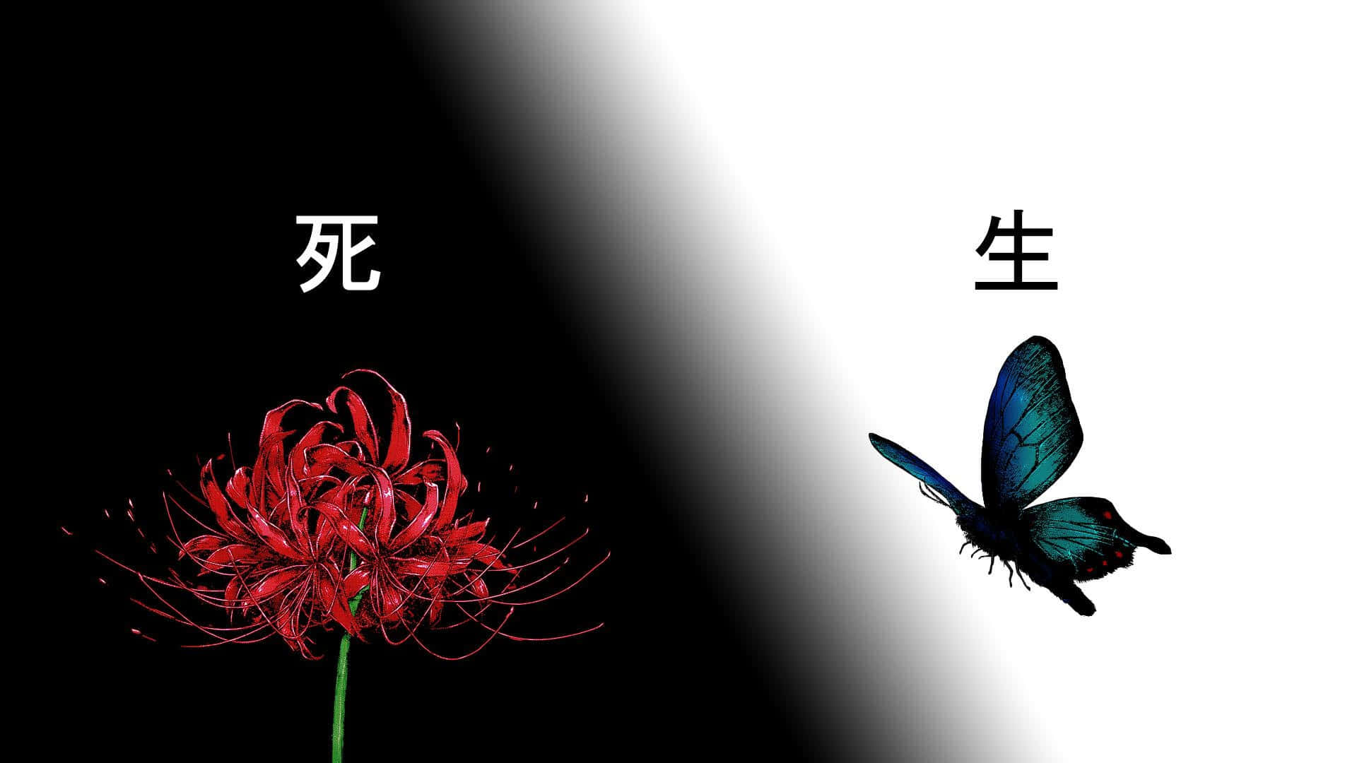 Tokyo Ghoul Blomst & Sommerfugl Wallpapers