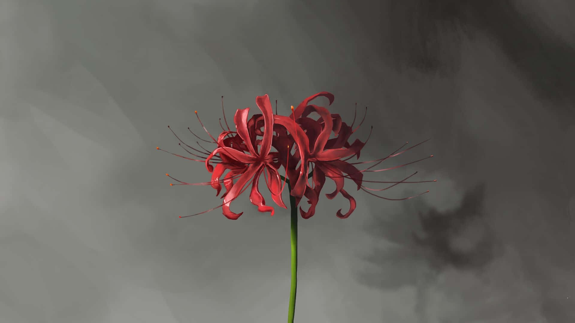Tokyo Ghoul blomst med skygge Wallpapers