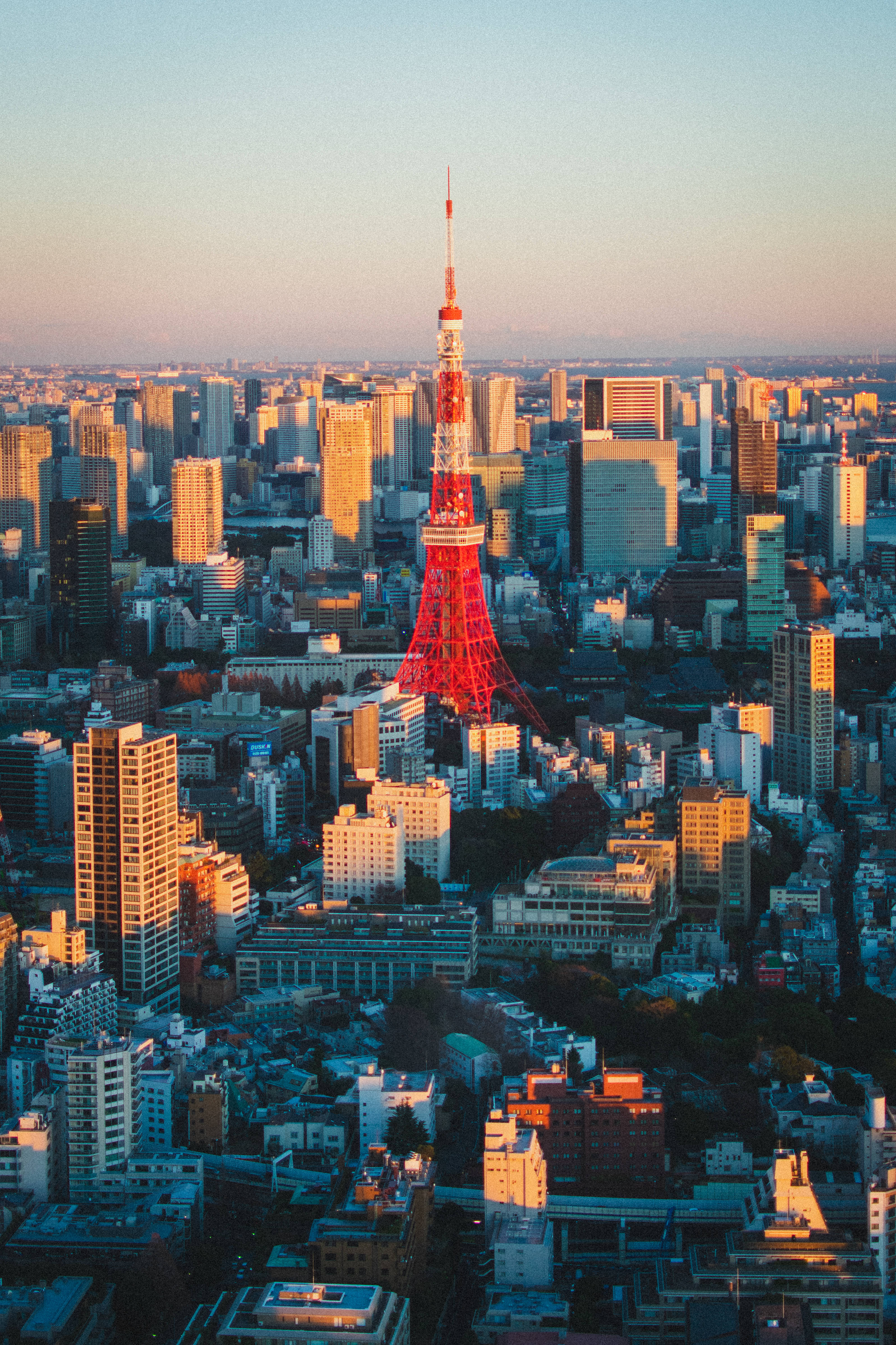 Tokyo Metropolis og Røde Tokyo Tower Wallpapers