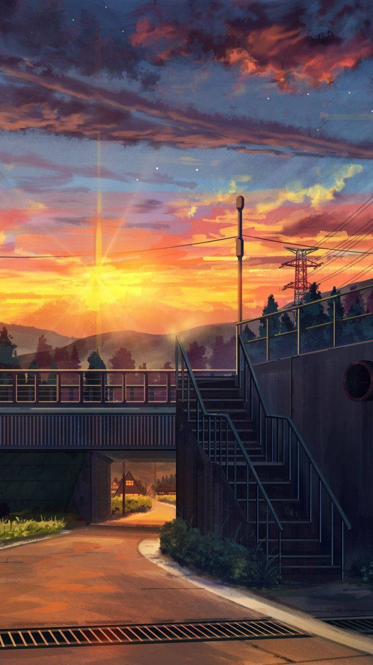 Tom vejbro anime æstetik solnedgang Wallpapers