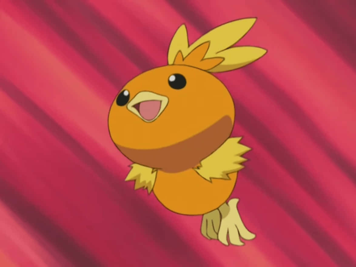Torchic hopper med rød baggrund Wallpapers