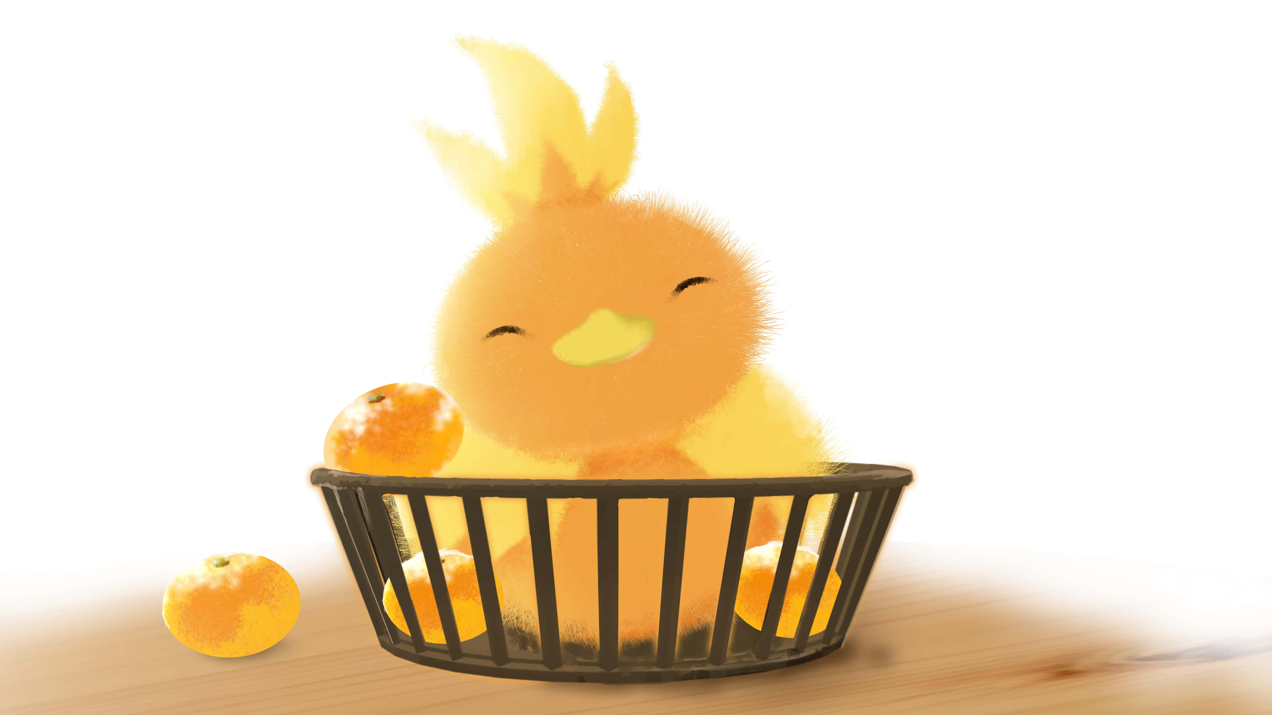 Torchic Pokémon i en kurv Wallpapers