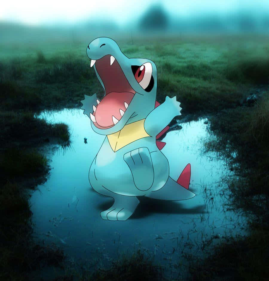 Totodile i virkelig vandpyt Wallpapers