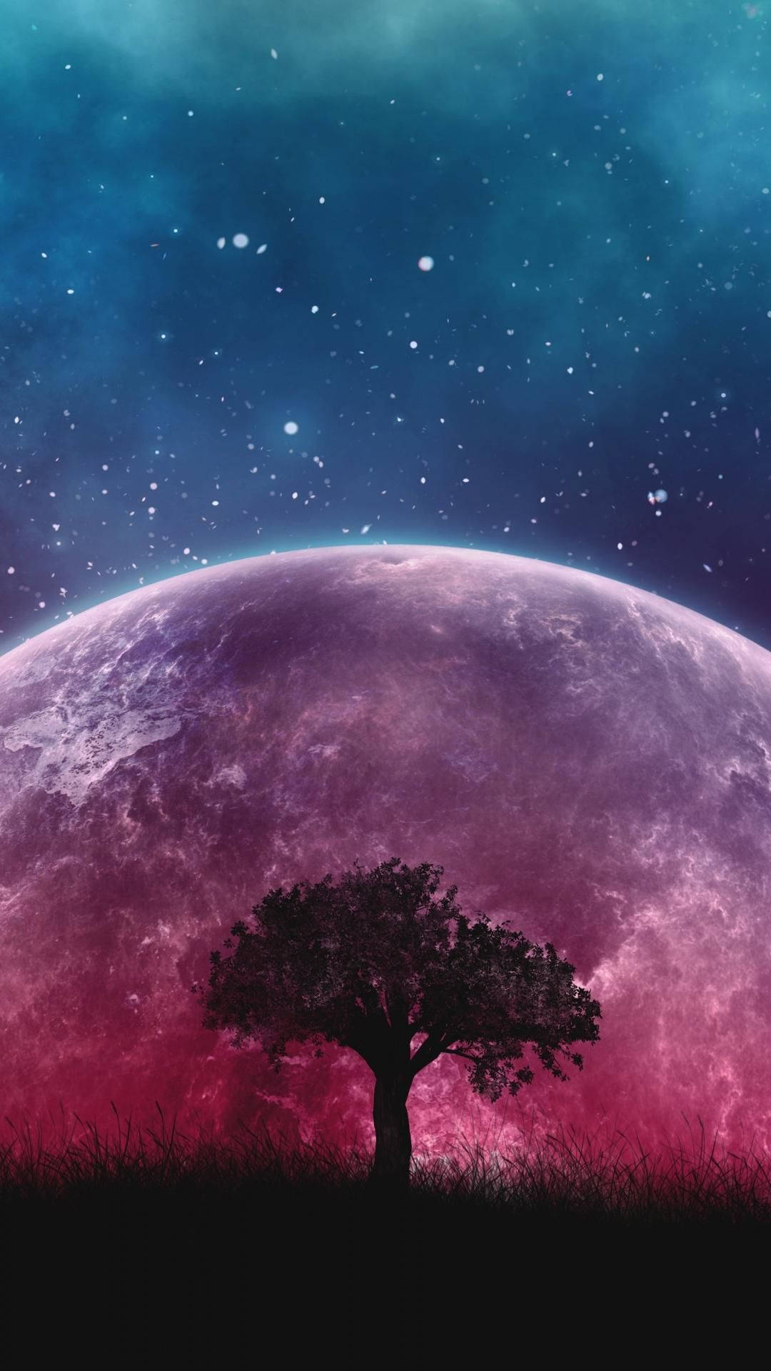 Træ over et sødt galakse Wallpapers