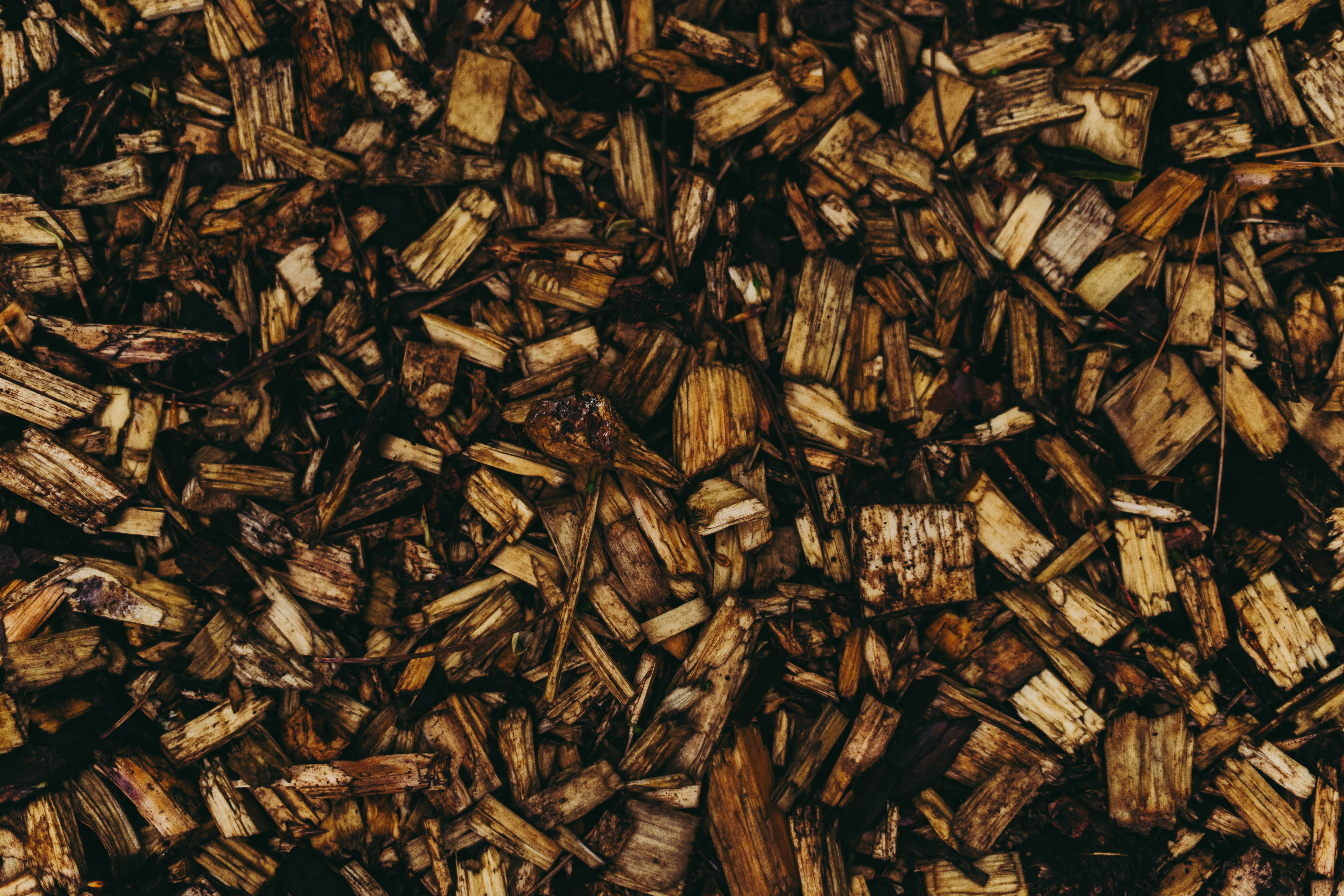 Træflis æstetisk mønster Wallpapers