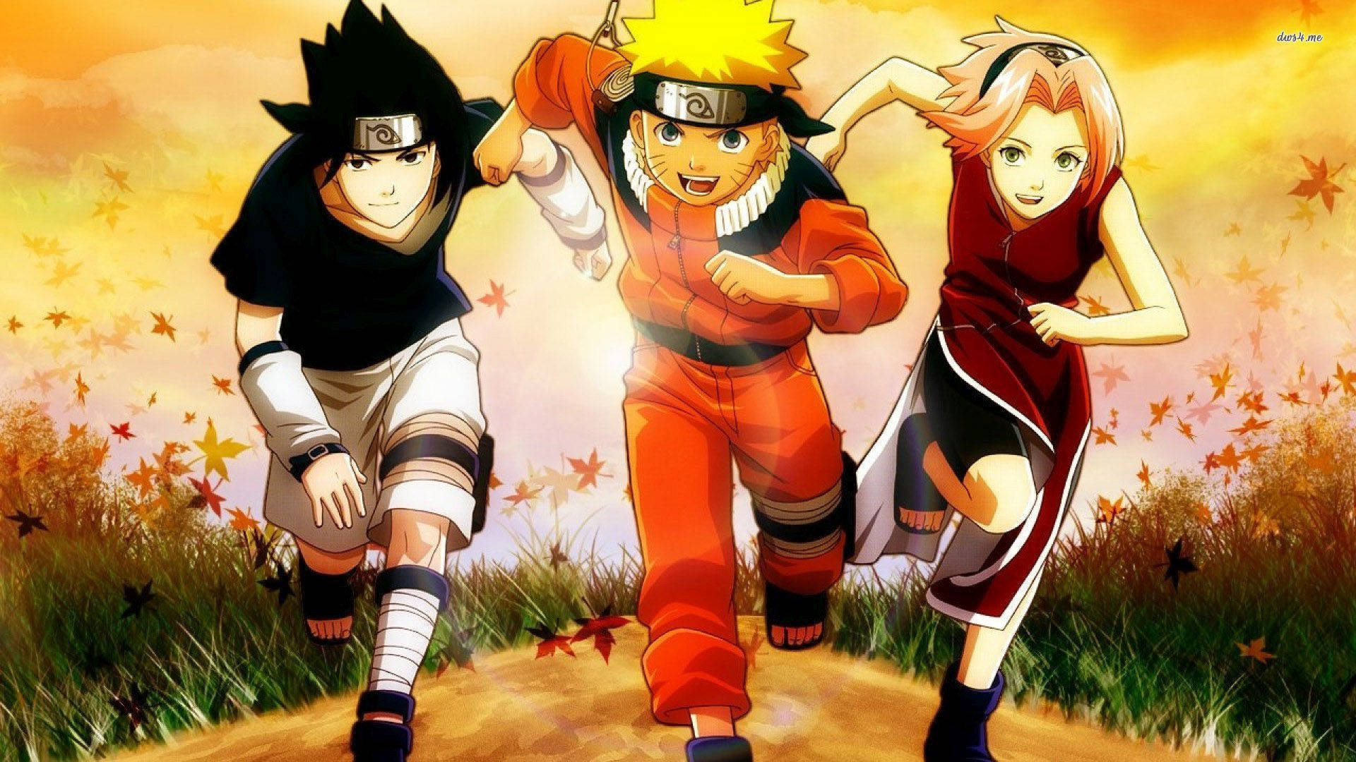 Tre unge ninjaer - Naruto, Sakura og Sasuke løber sammen. Wallpapers