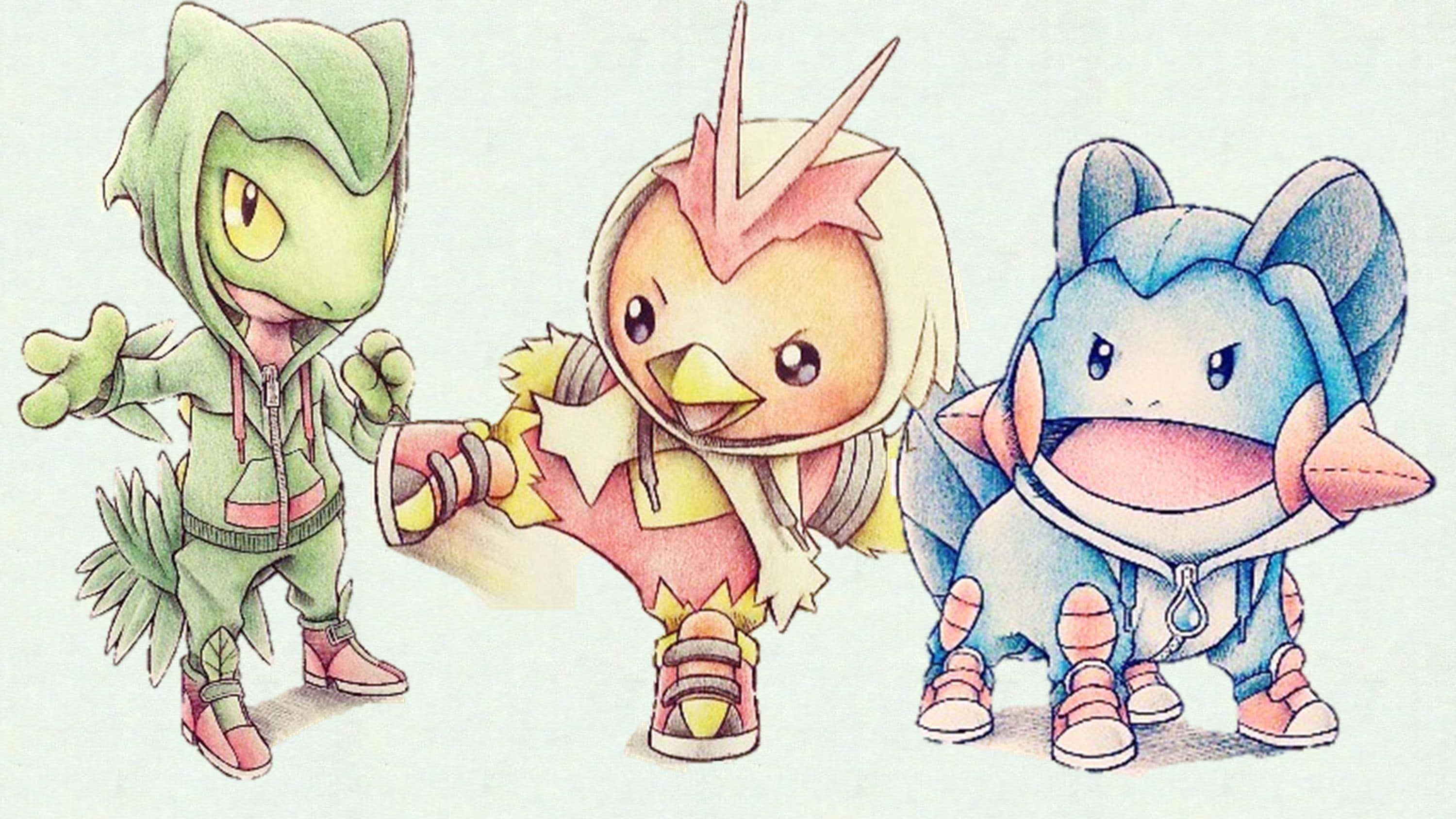 Treecko, Torchic og Mudkip tegning Wallpapers