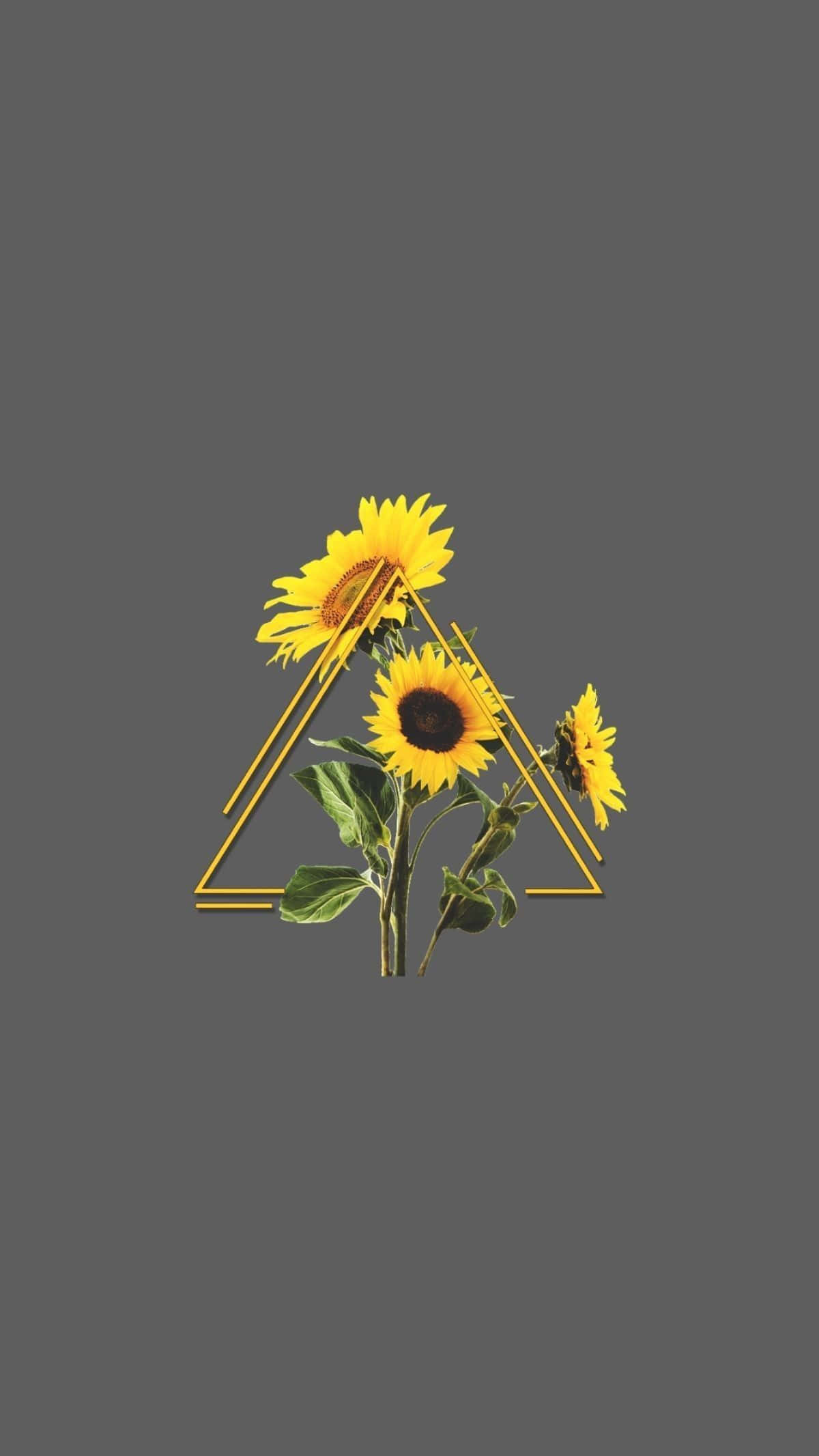 Triangle med solsikkeæstetik til iPhone Wallpapers