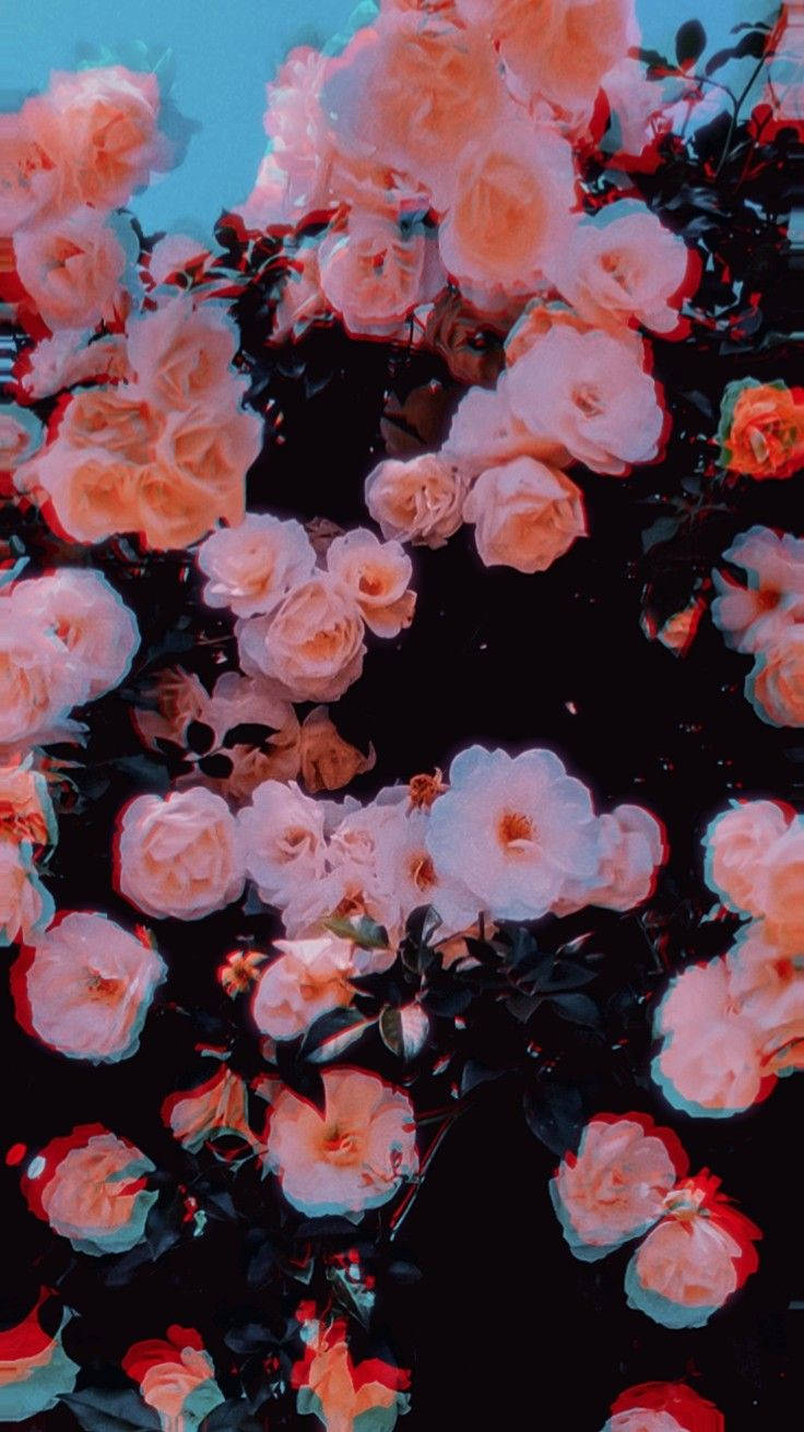 Trippy roser æstetik Wallpapers