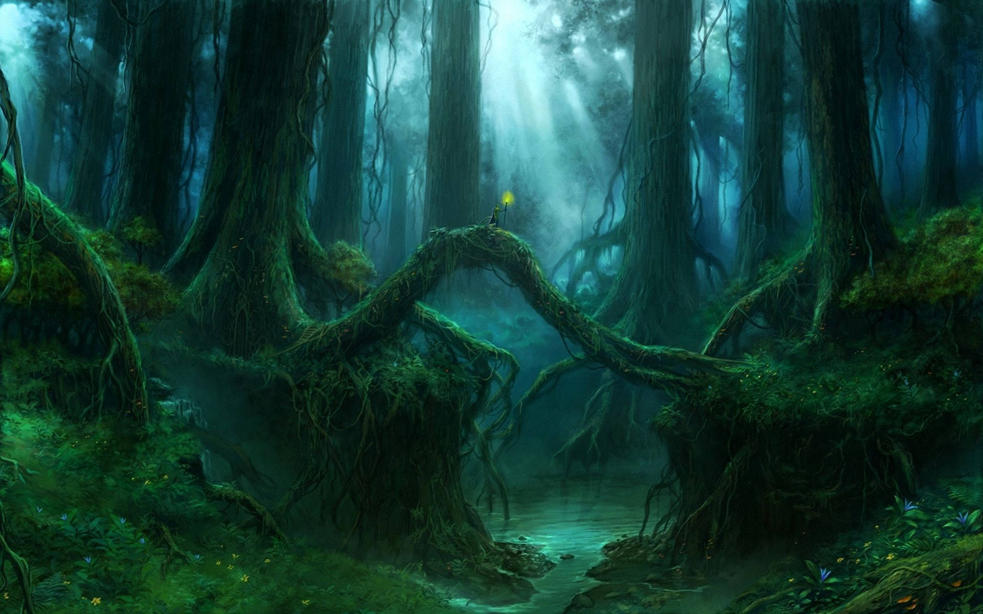 Troldmand i en kæmpe fortryllet skov Wallpapers