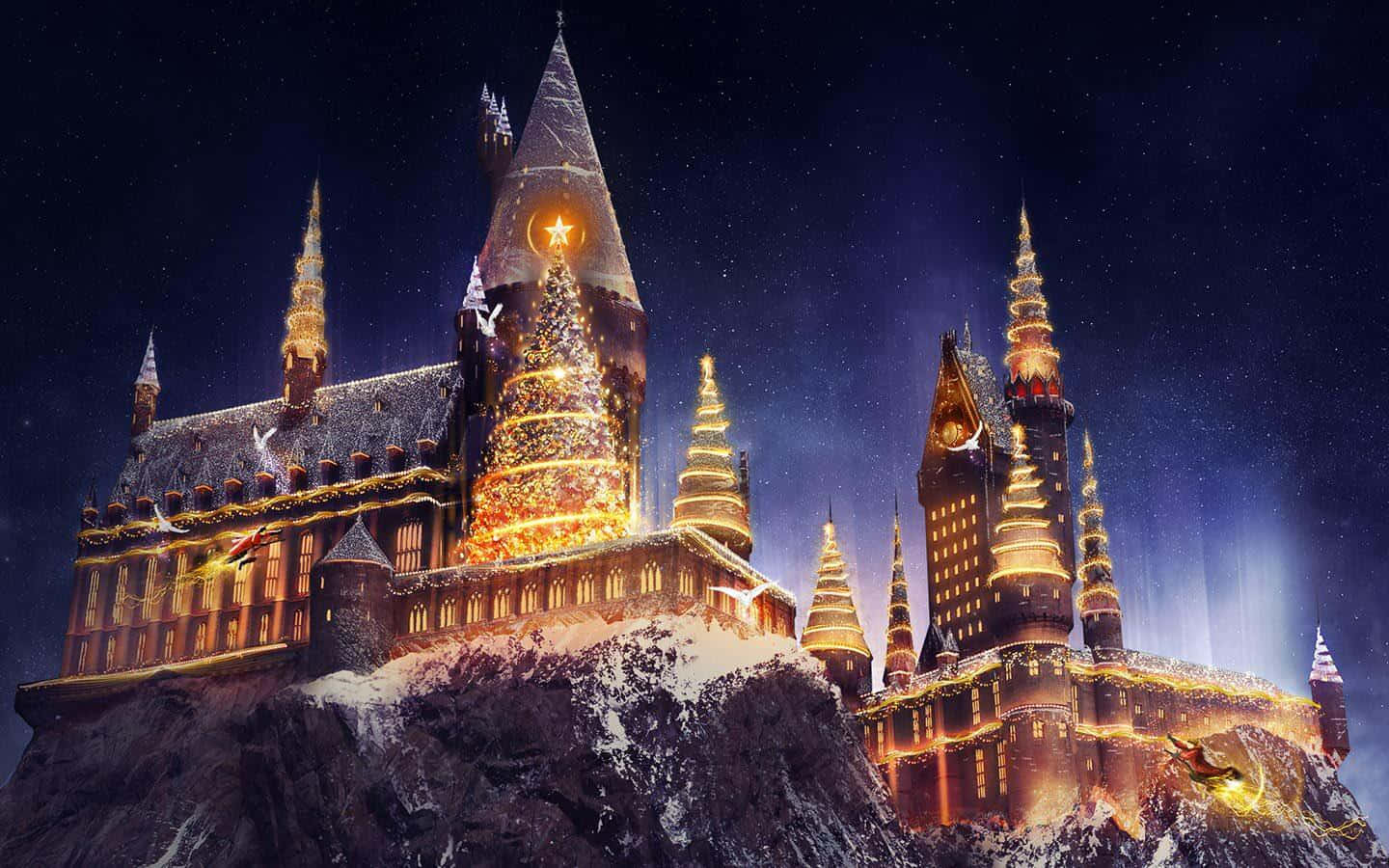 Troldmandsverdenen Harry Potter Juleforlystelsespark Wallpapers