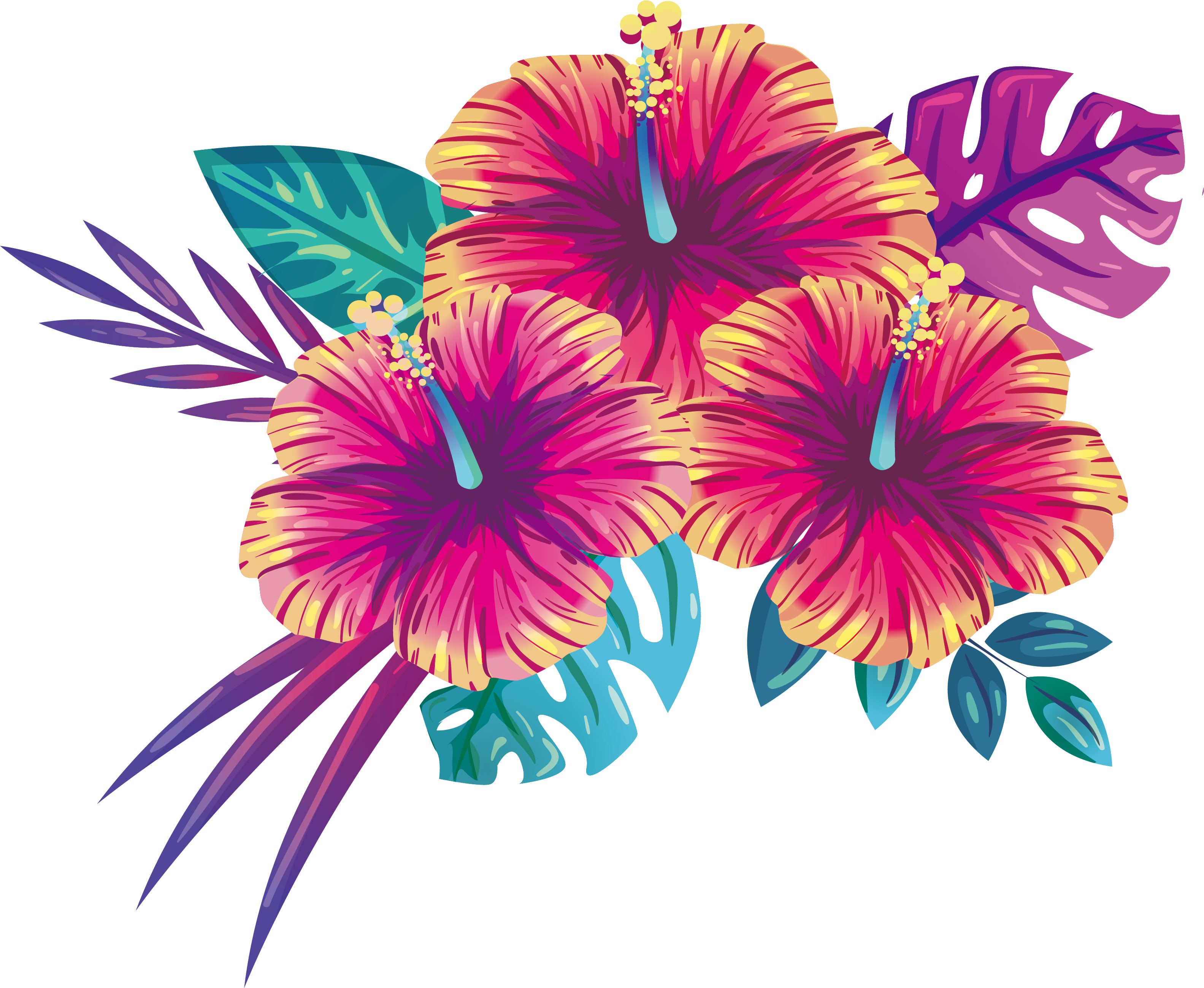 Tropisk hibiscus blomsterillustration Wallpapers