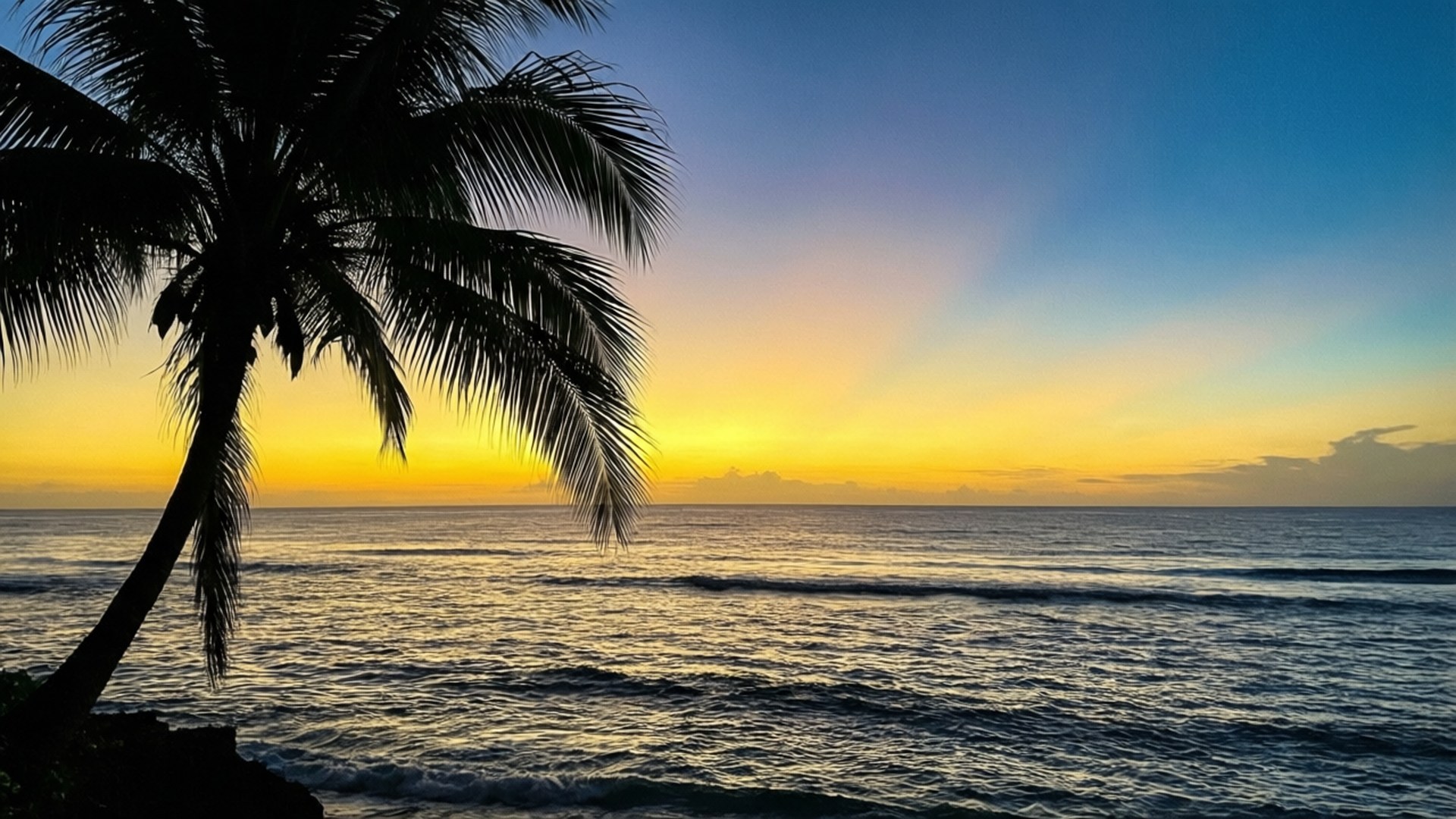 Tropisk paradis solnedgang Wallpapers