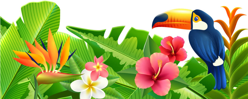 Tropisk paradis sommerscene Wallpapers