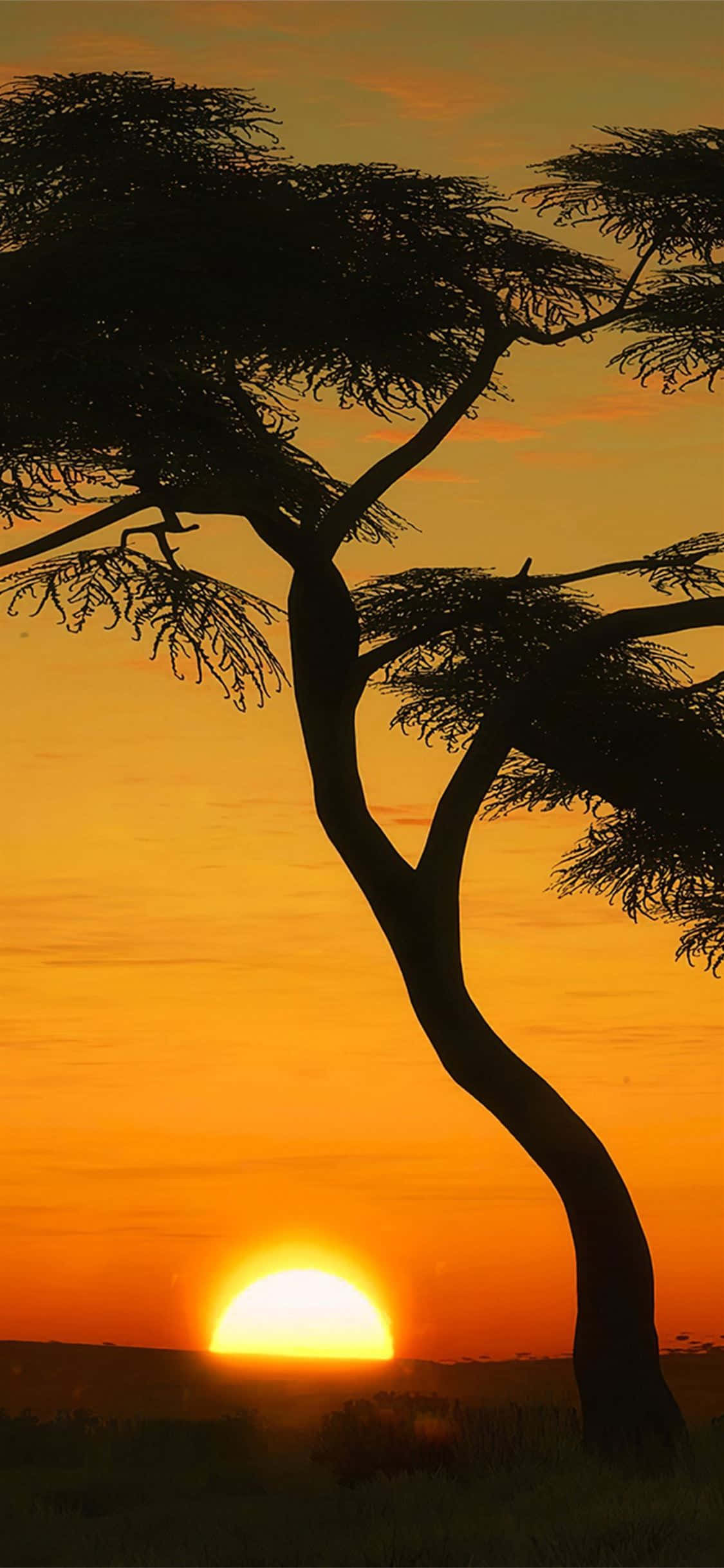 Træsilhuetportræt i Masai Mara Wallpapers