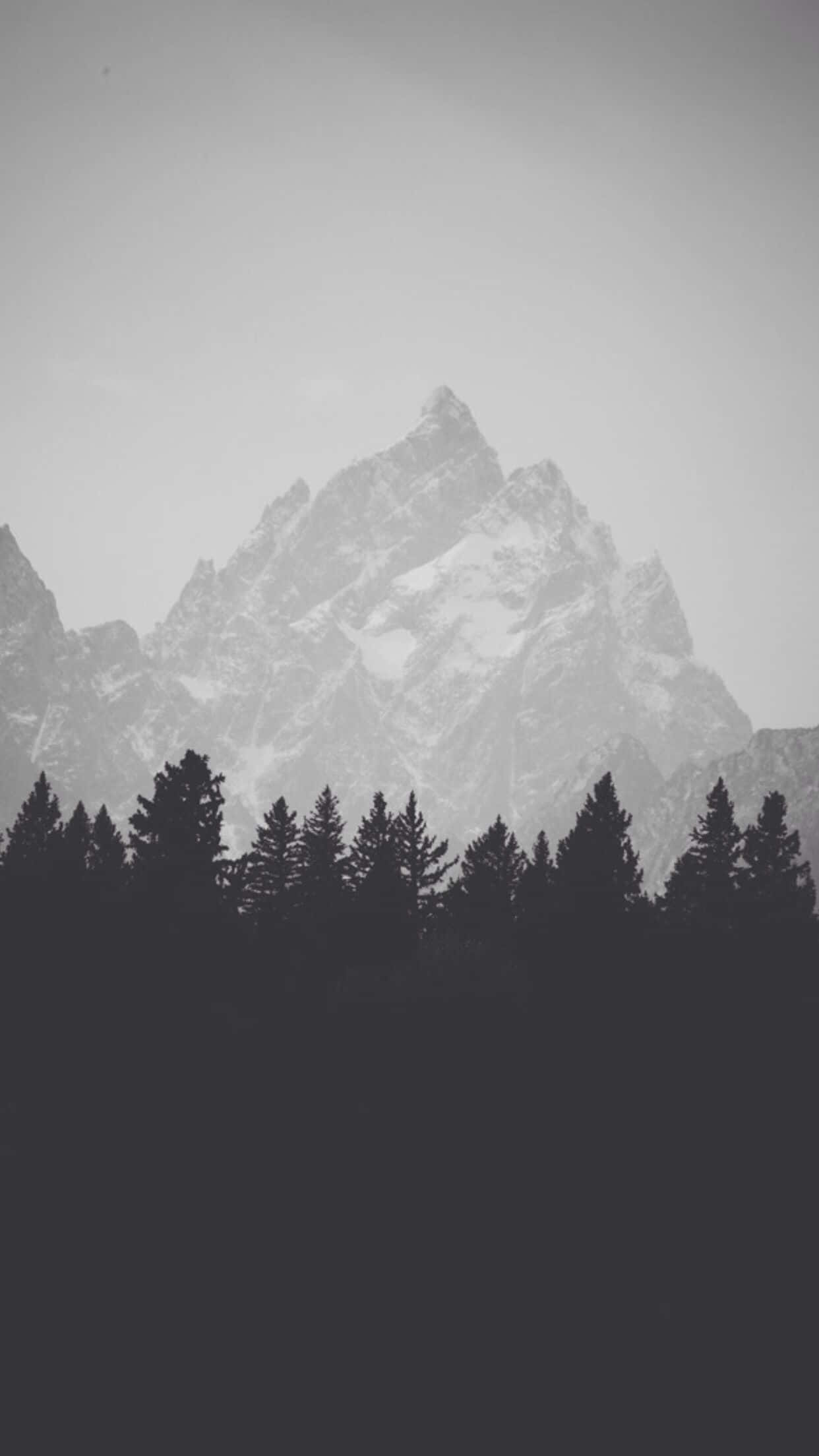 Tæt billede af iPhone 7 Plus Wallpapers