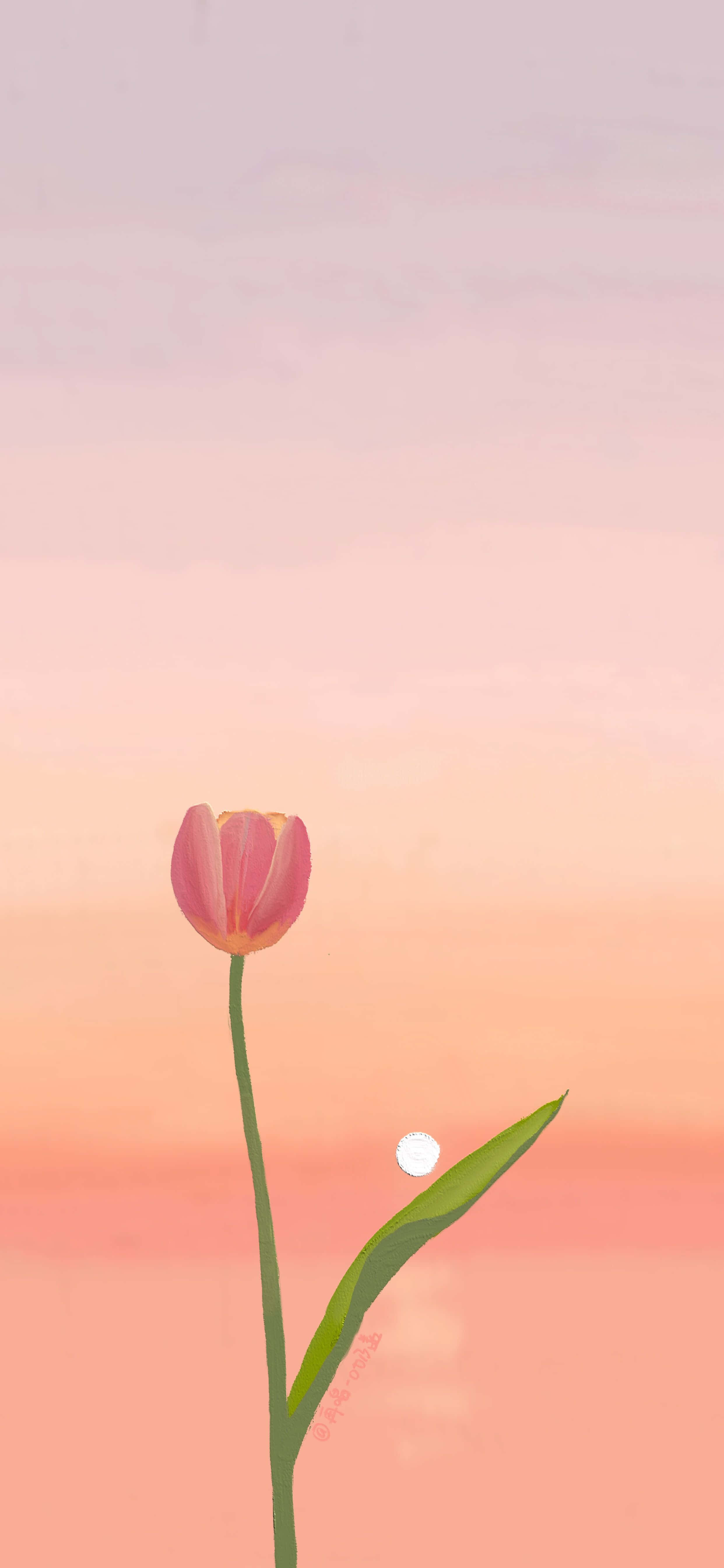 Tulipanernes skønhed Wallpapers