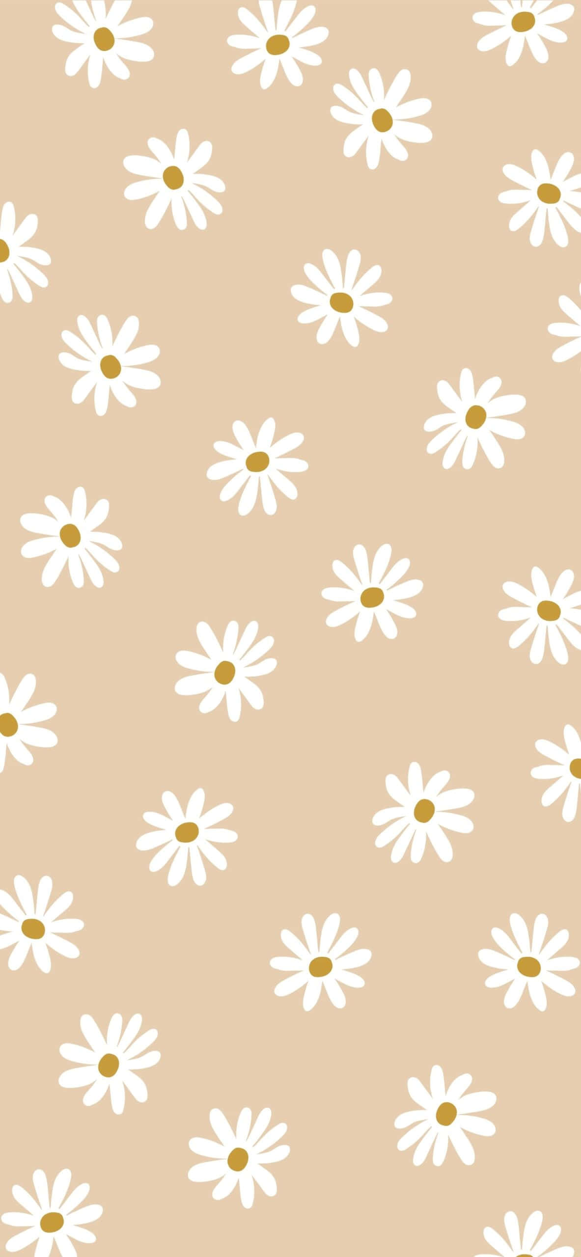 tusindfryd mønster på beige baggrund Wallpapers