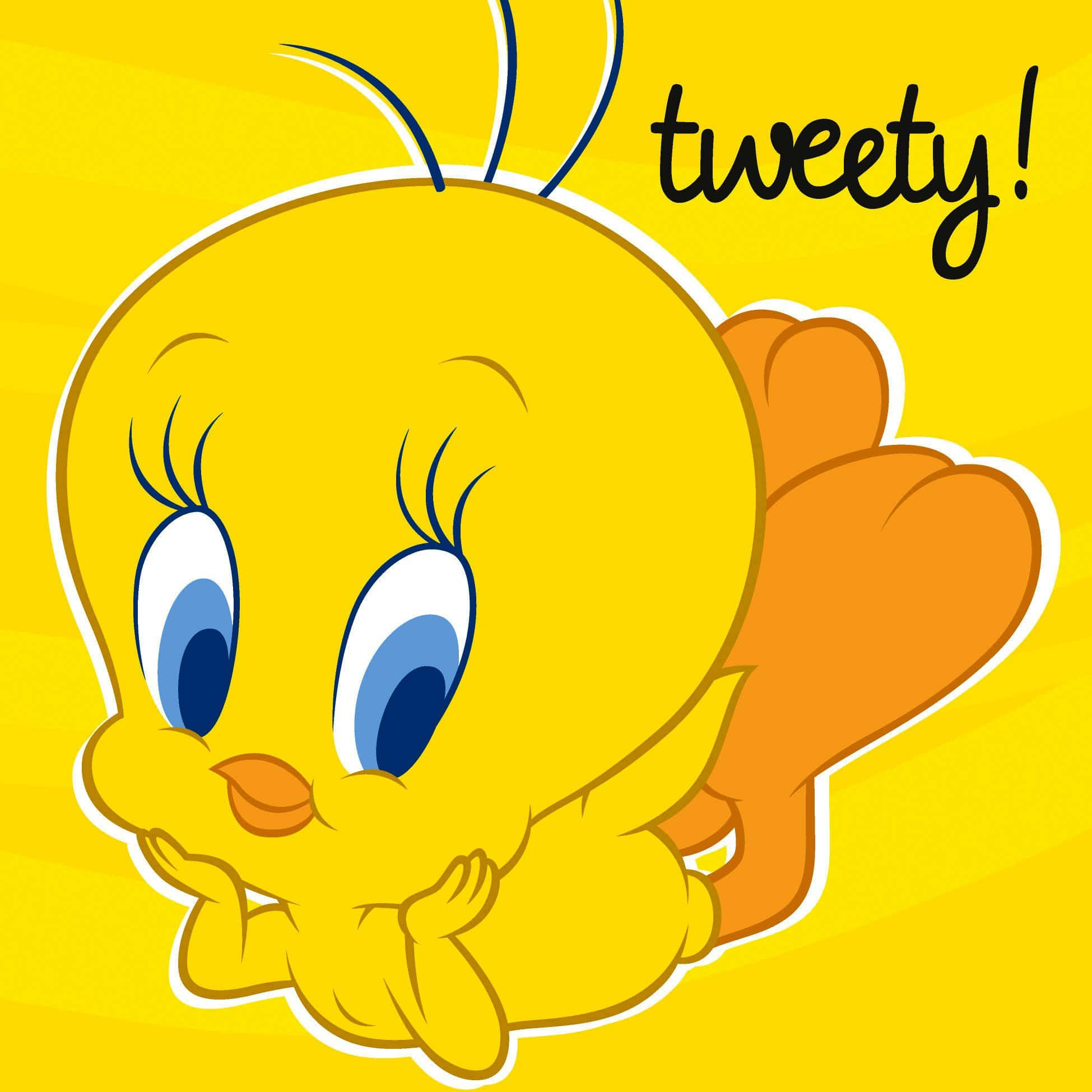 Tweety Bird Wallpapers