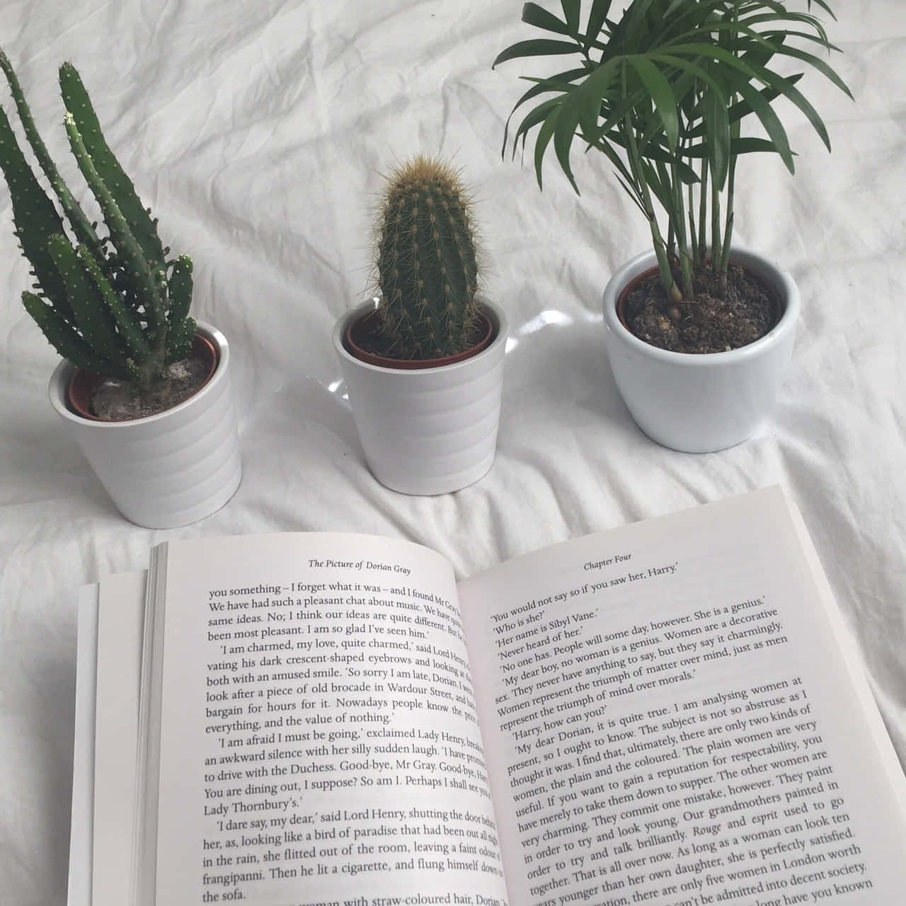 "Udforsk bøgernes verden! 📖" Wallpapers
