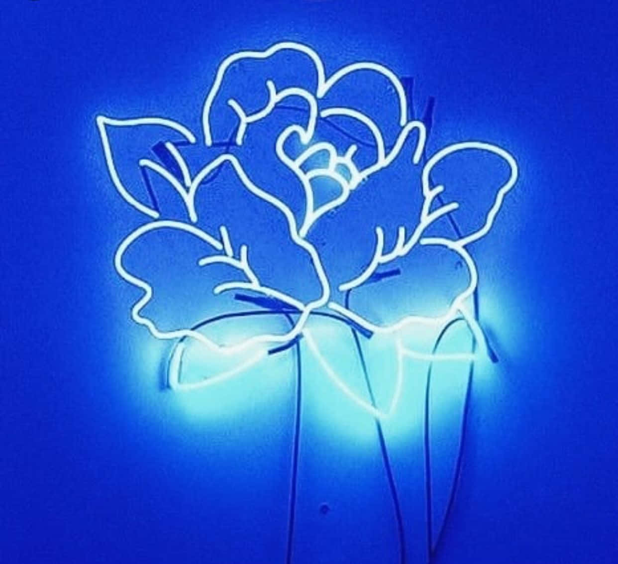 Udforsk den surrealistiske skønhed i neongrønne æstetikker Wallpapers