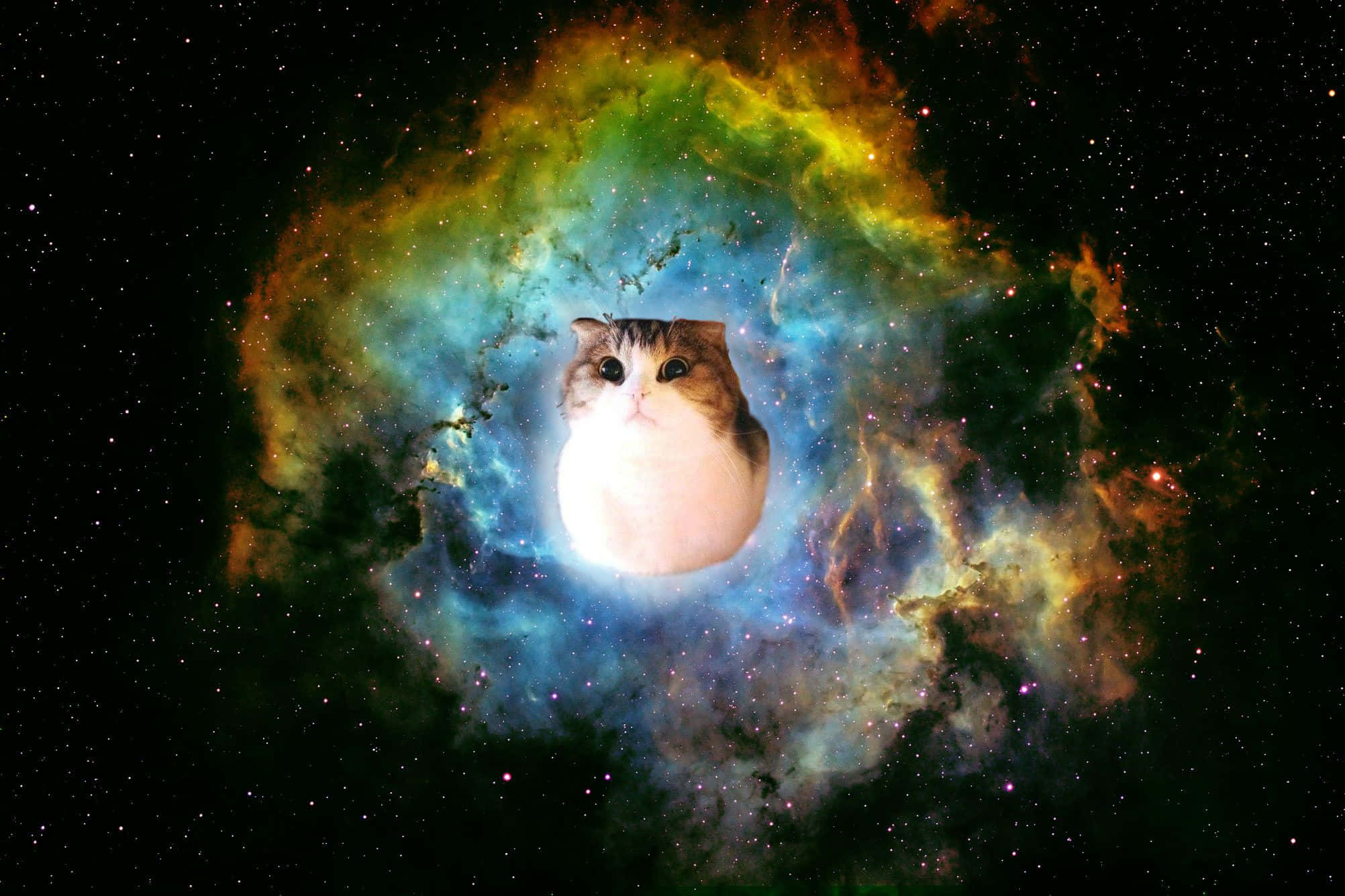 Udforskning af universet og derover Wallpapers