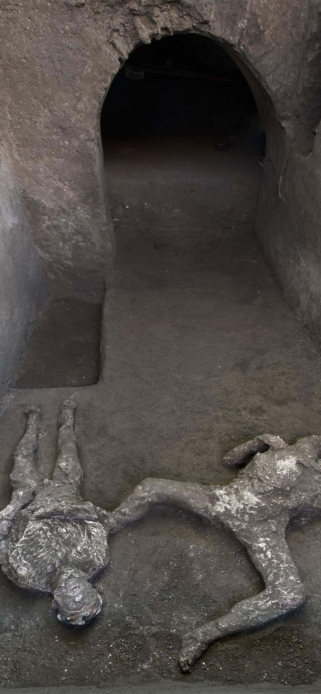 Opgravede menneskekroppe i Pompeji Wallpapers