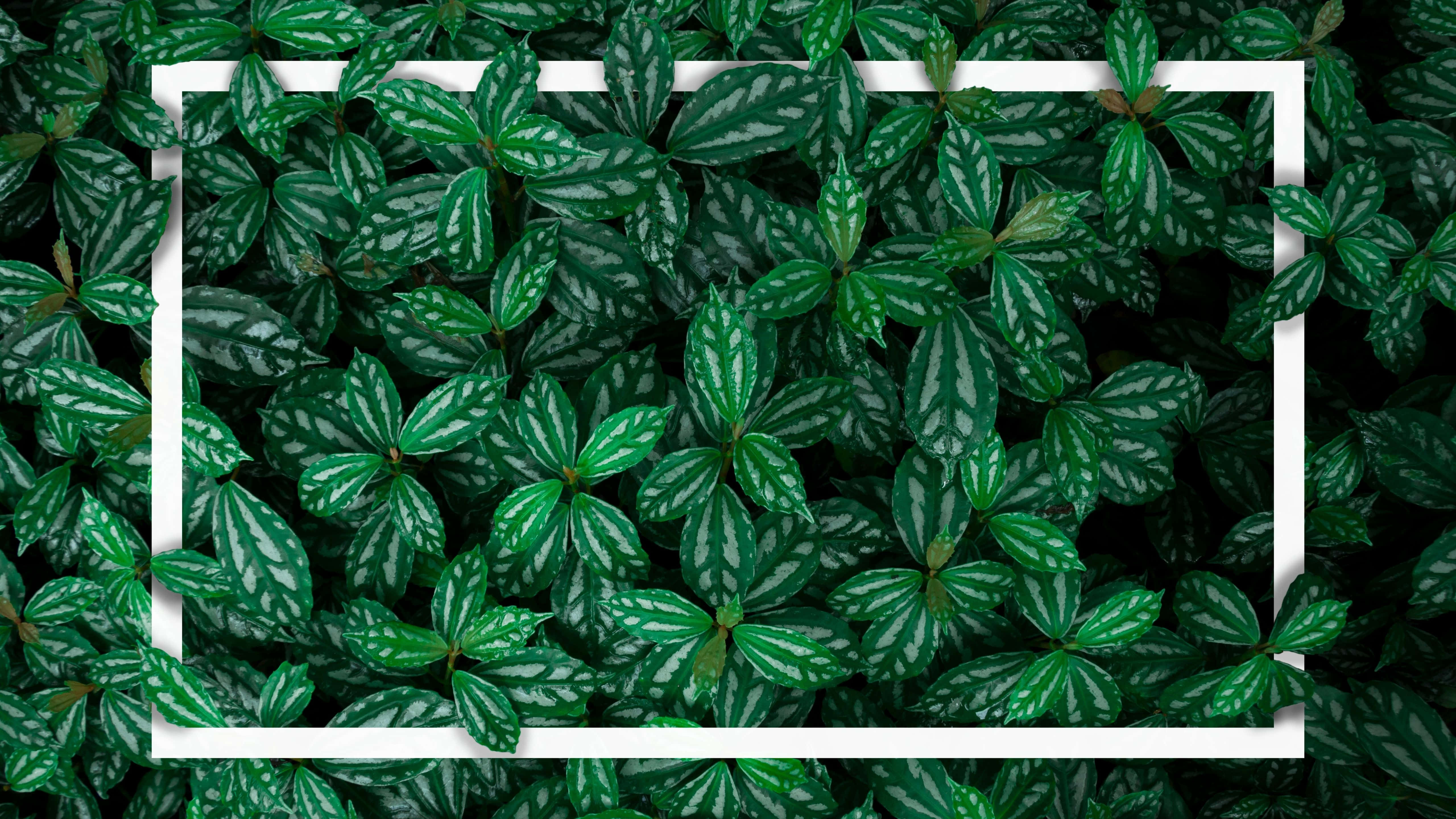 Udsigt over byen Wallpapers