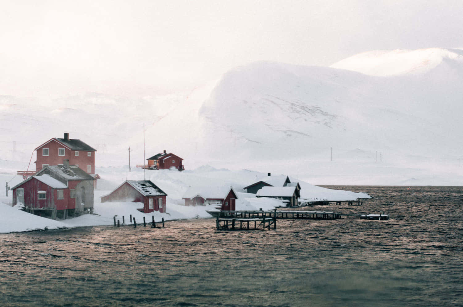 Udsigt over træer dækket af nyfalden sne Wallpapers