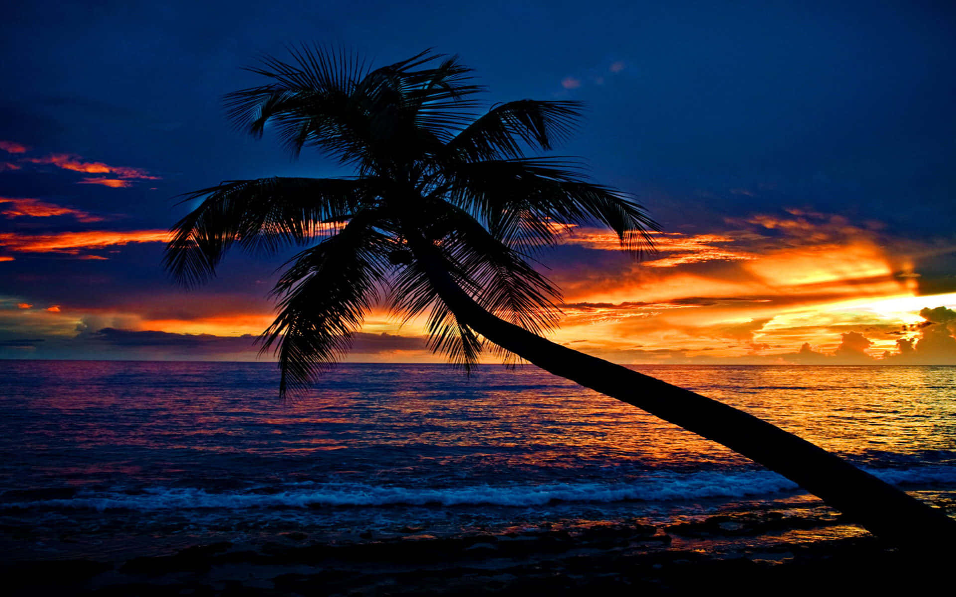 Uforglemmelige minder ved denne strand solnedgang Wallpapers