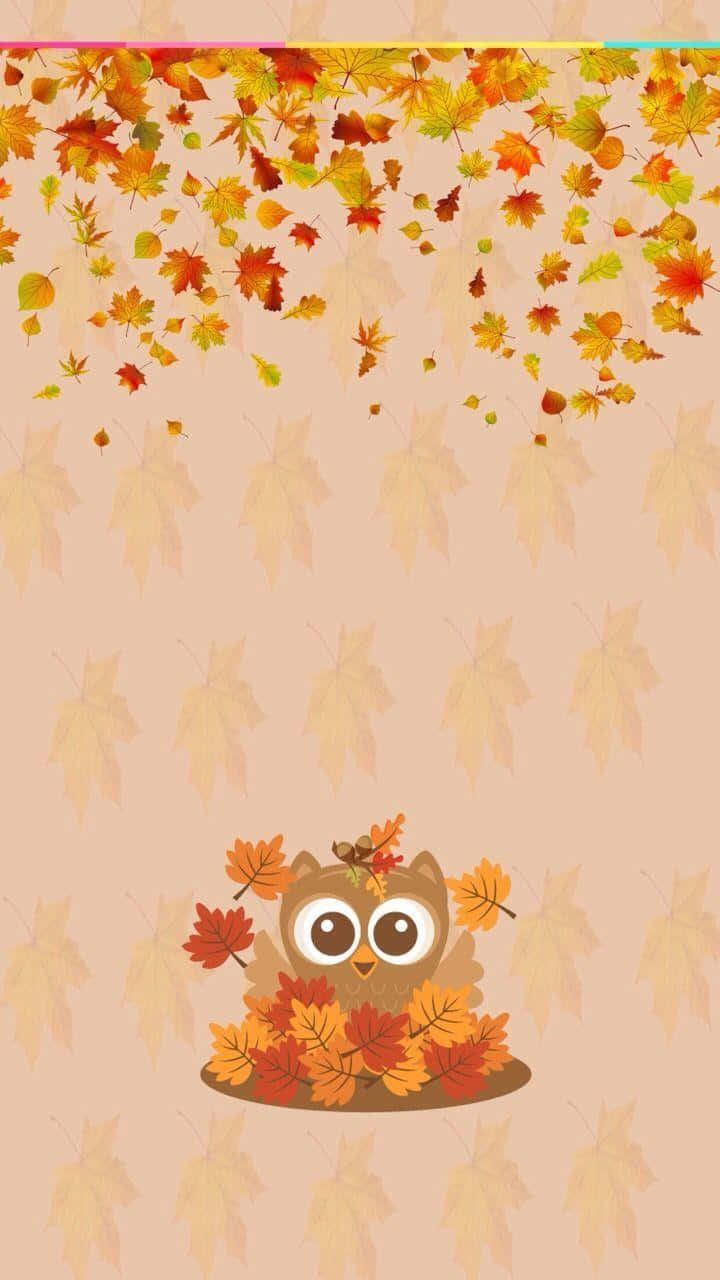 ugler i efterårsblade tapet Wallpapers