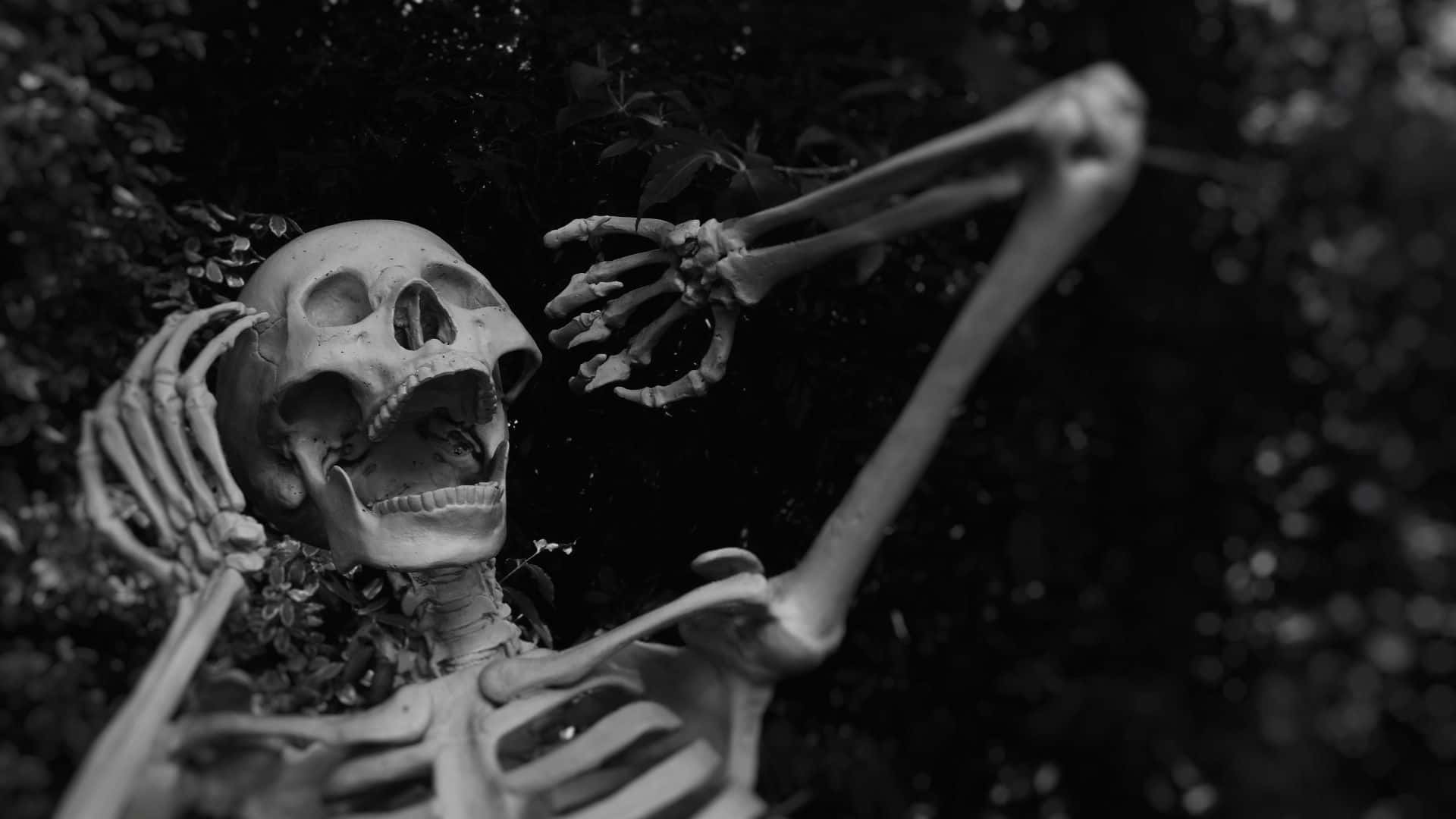Uhyggelig Halloween-baggrund Wallpapers