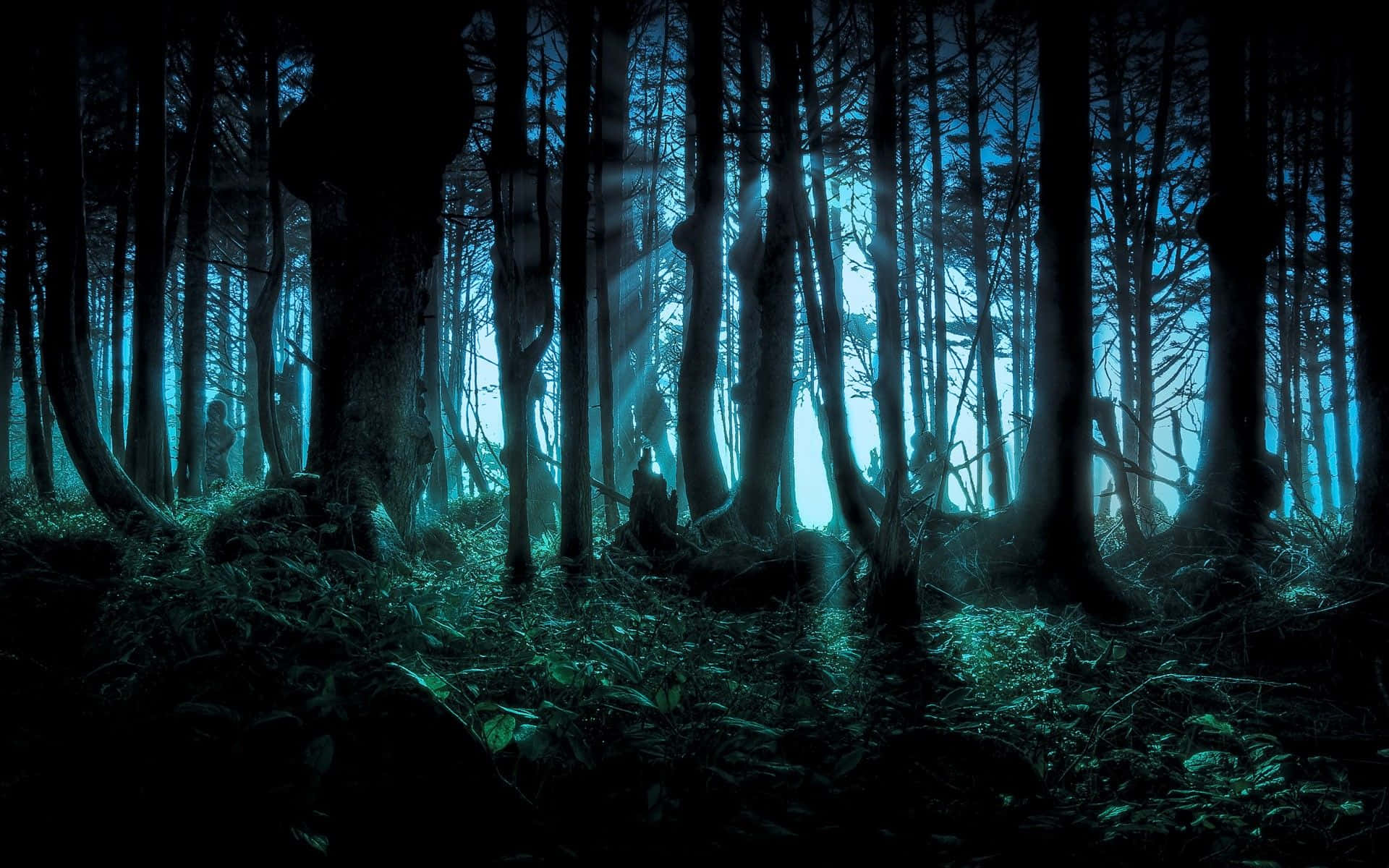 Uhyggelig Halloween-skov til skrivebordet Wallpapers