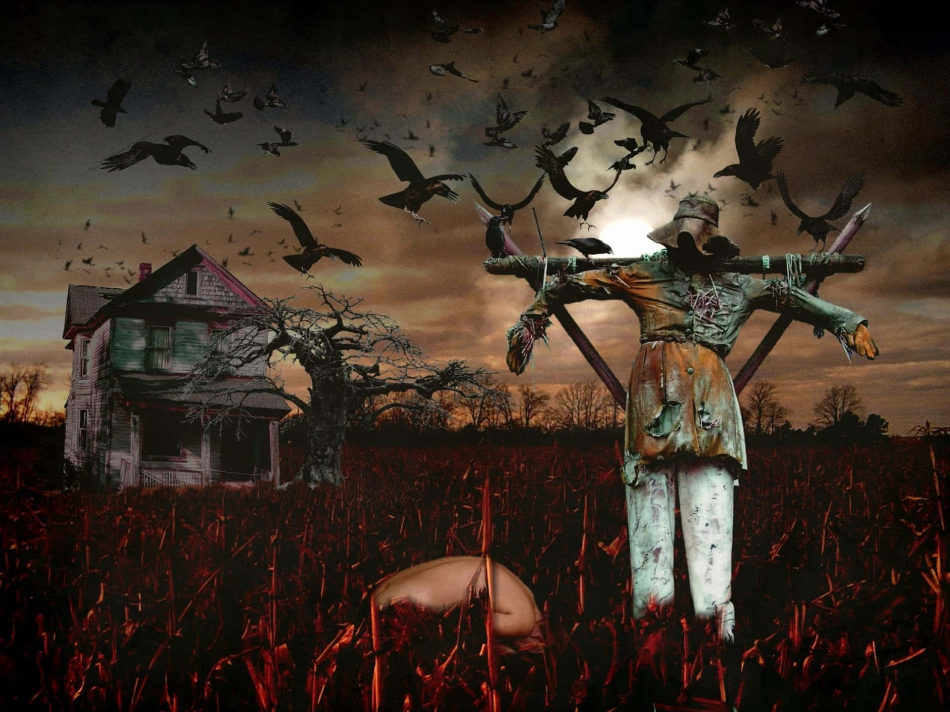 Uhyggelige Halloween billeder Wallpapers