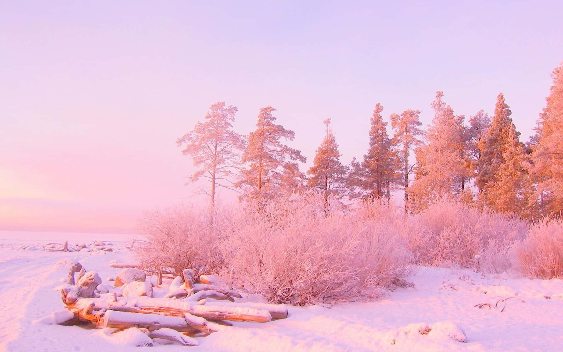 Ujordisk skønhed med en lyserød æstetik Wallpapers