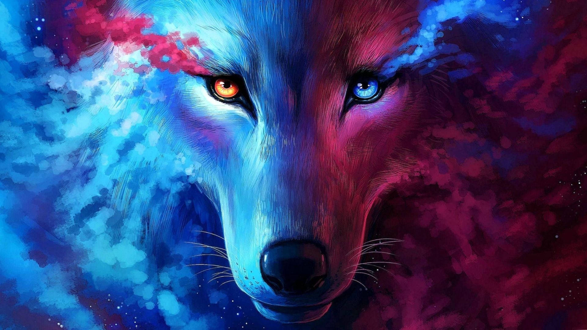 Ulv i sød galakse Wallpapers