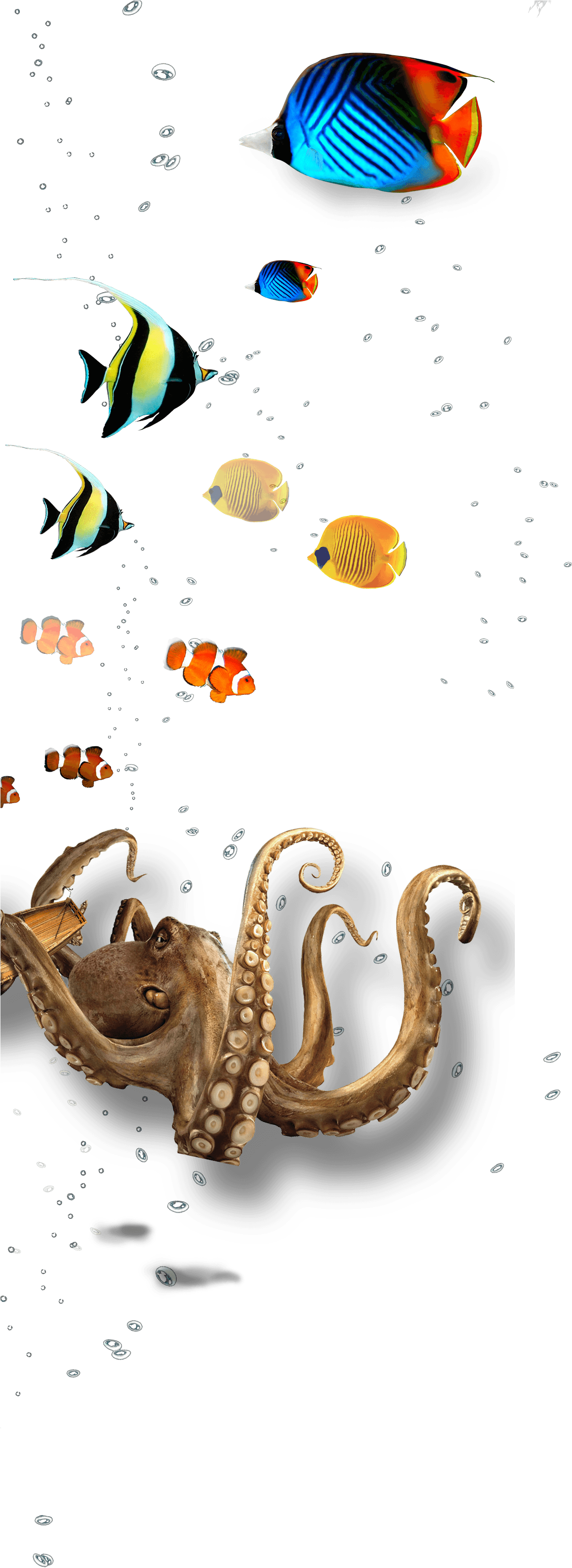 Undervandskollage med havliv Wallpapers