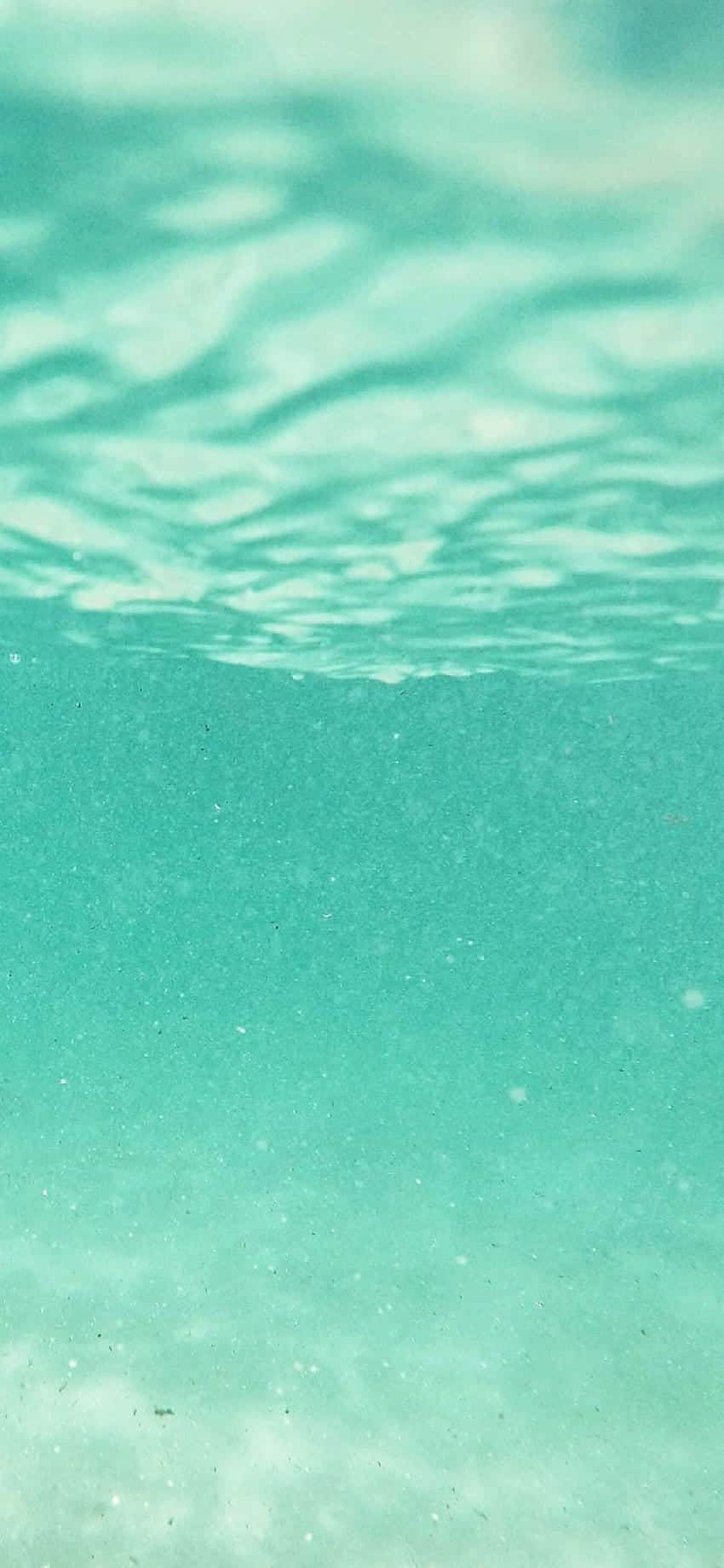 undervandsudsigt over havet Wallpapers