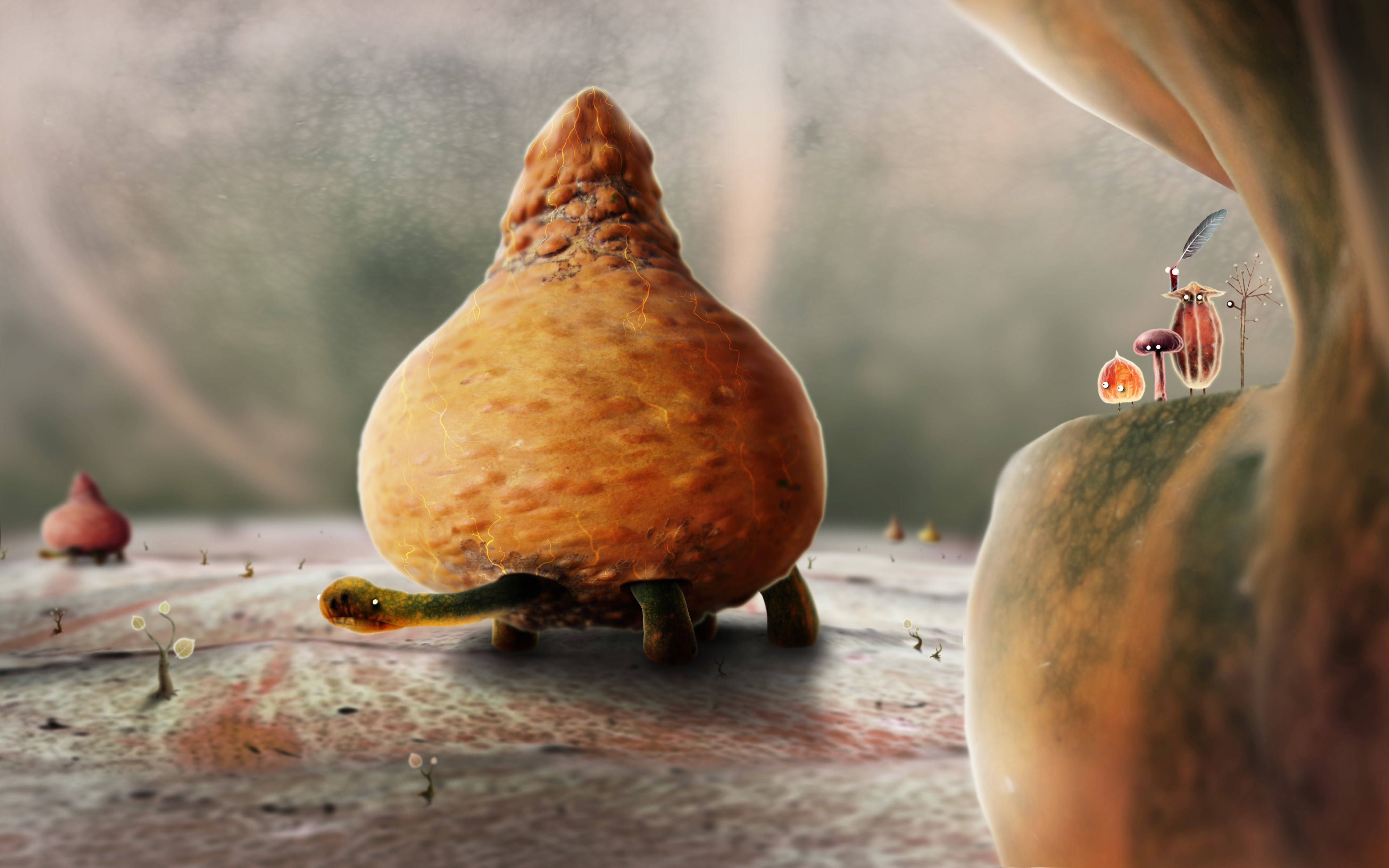 Unikt nuttet skildpadde Wallpapers
