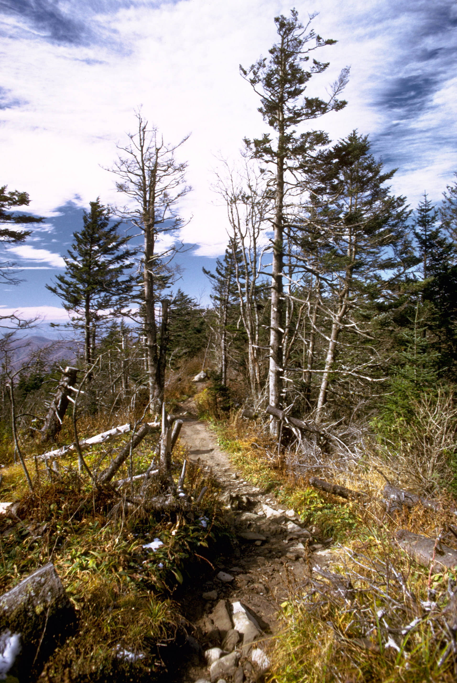 Vandresti i Smoky Mountains Wallpapers
