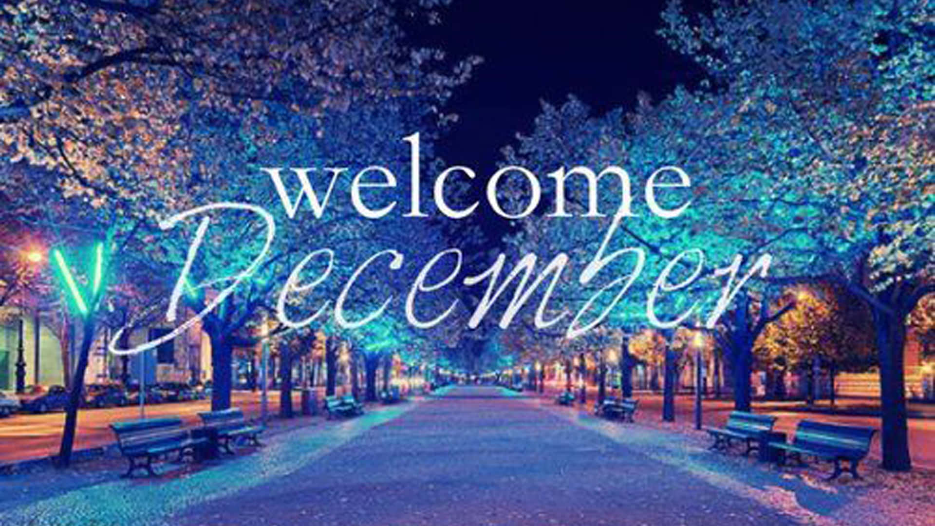 Velkommen December Festlige Juletræslys Wallpapers