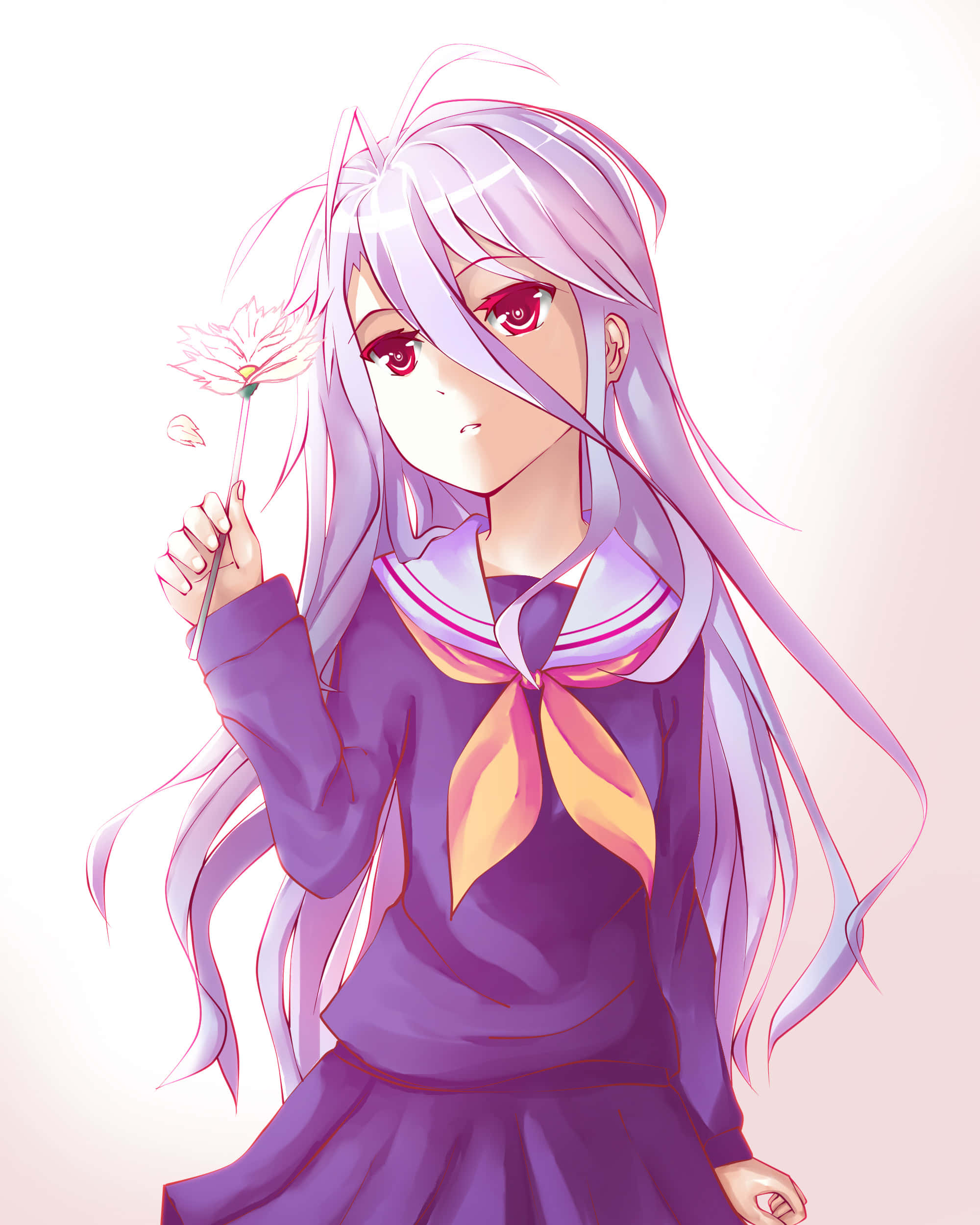 Velkommen til No Game No Life's verden Wallpapers