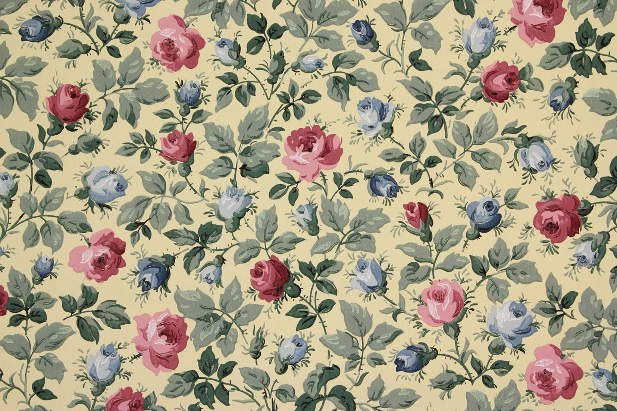 Vintage blå rose æstetik Wallpapers