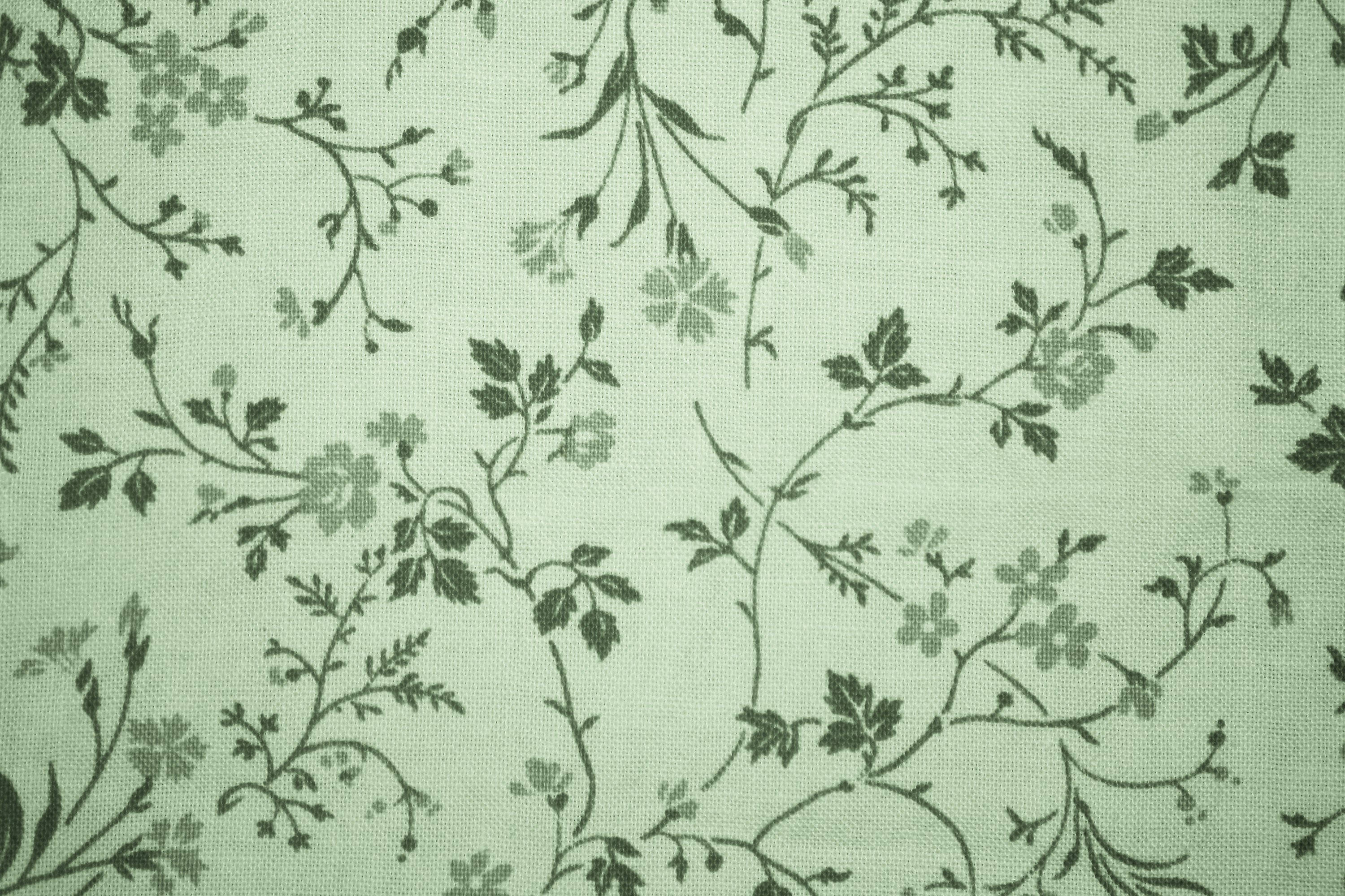 Vintage salviegrøn æstetik Wallpapers