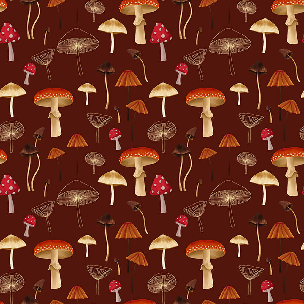 Vintage Sød Svamp Flora Wallpapers