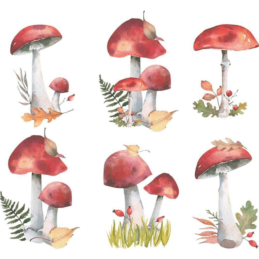 Vintage sød svamp vægklistermærke Wallpapers