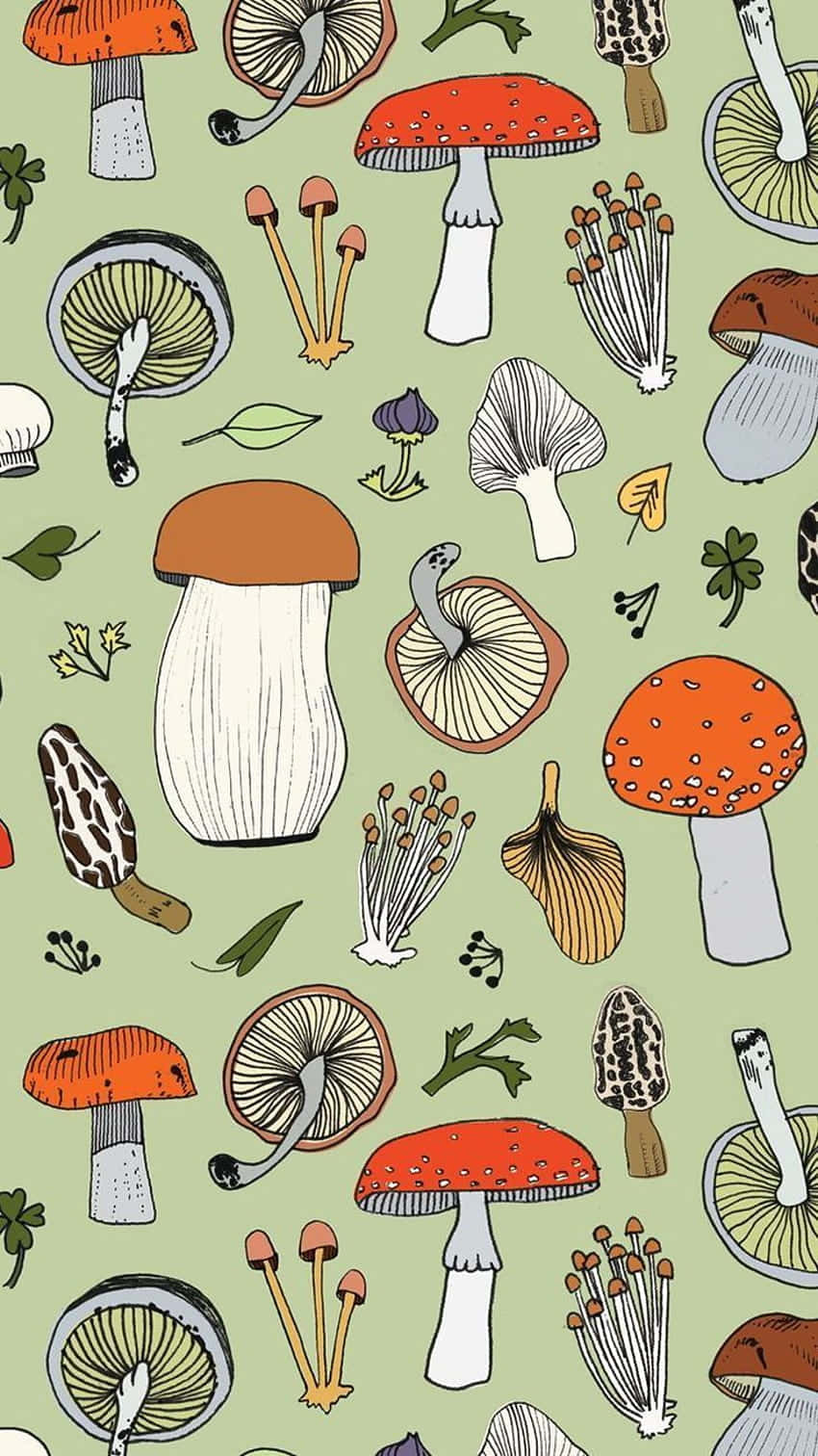 Vintage sød svamp flora blanding salviegrøn Wallpapers
